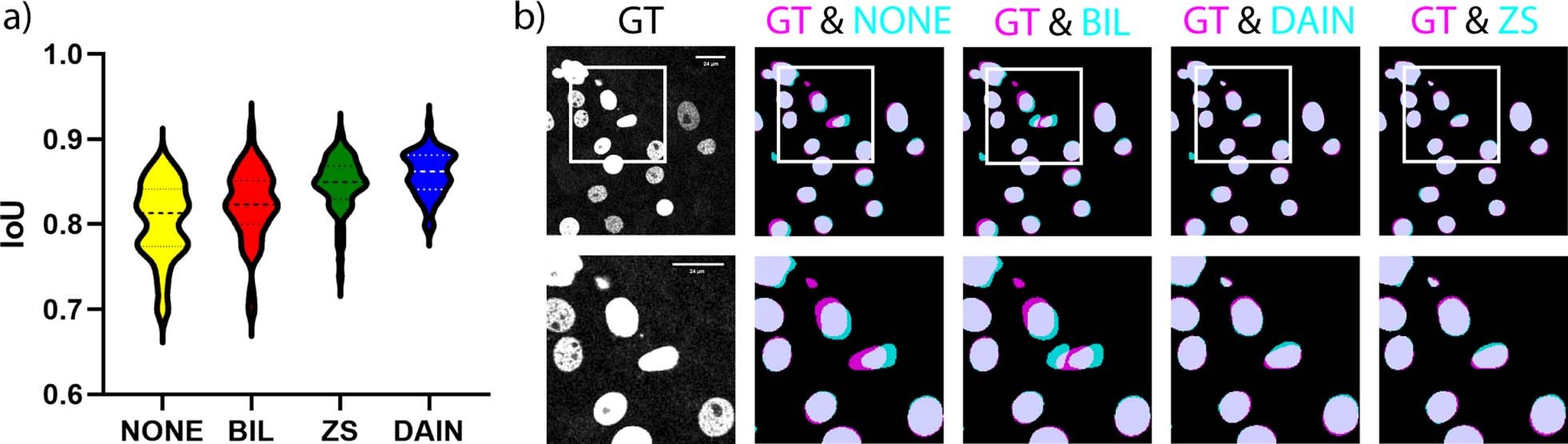 Extended Data Fig. 1: Segmentation analysis with CAFI.