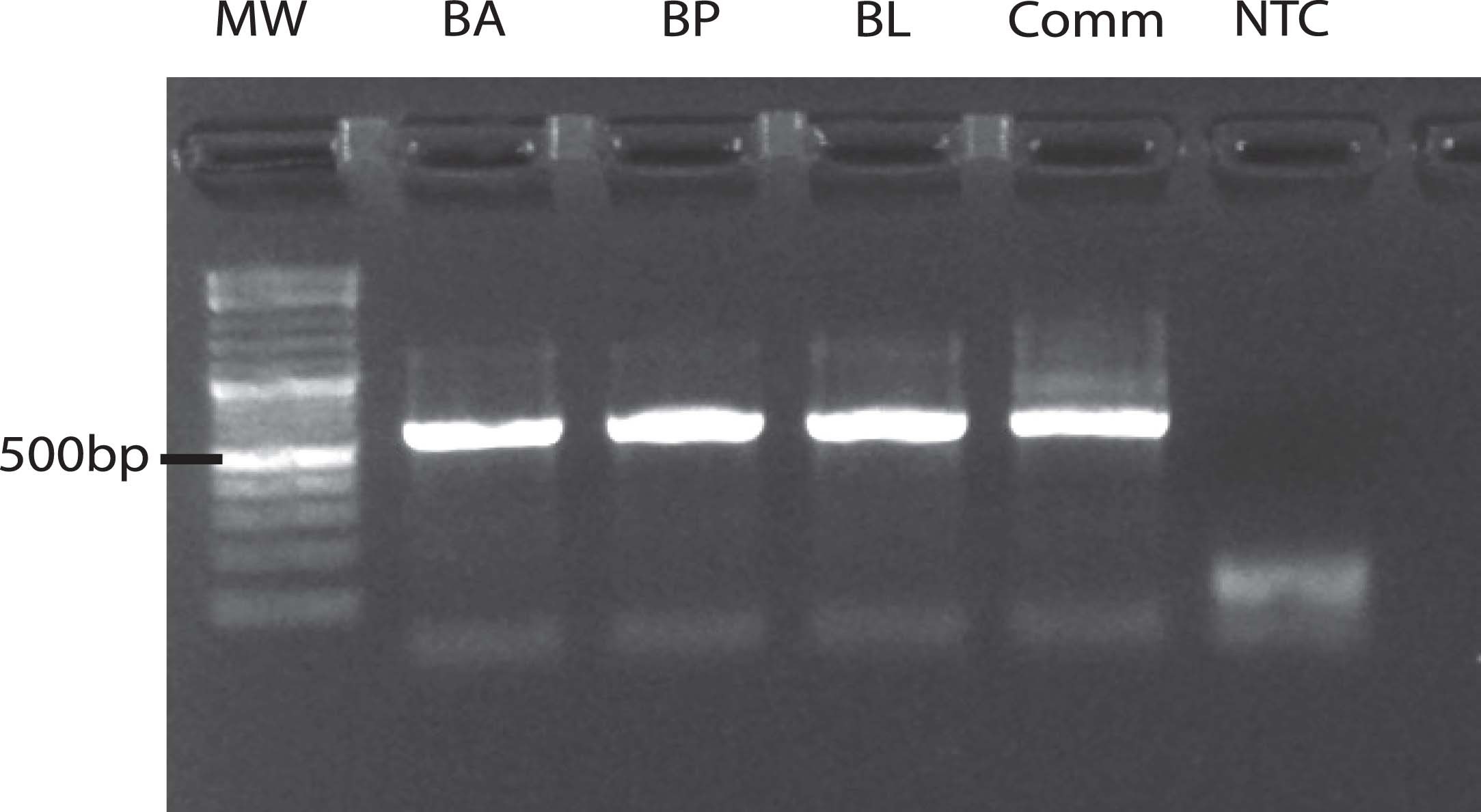 Extended Data Fig. 4