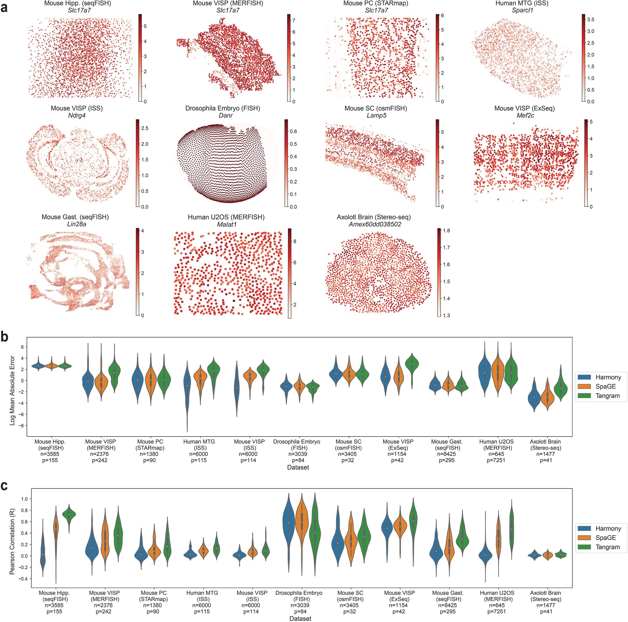 Extended Data Fig. 1: Overview of datasets and prediction performance.