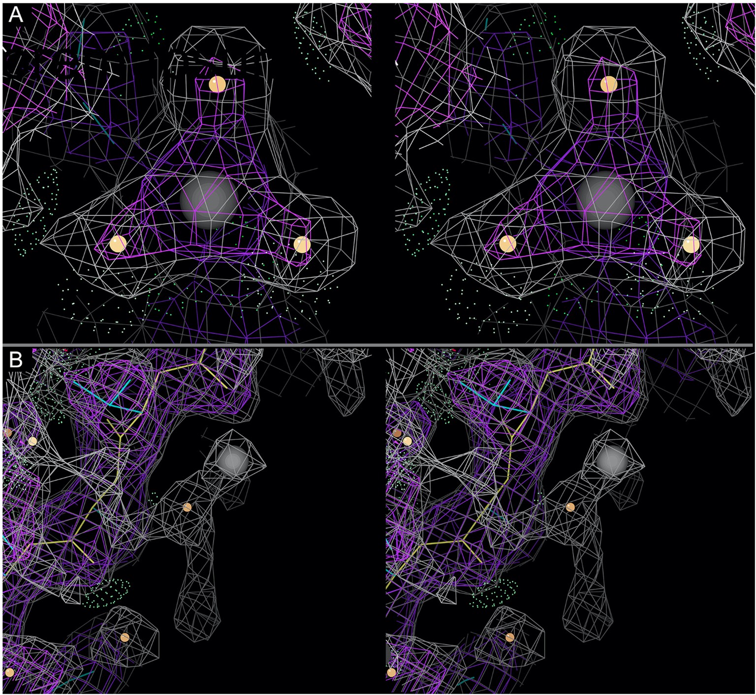 Extended Data Fig. 3