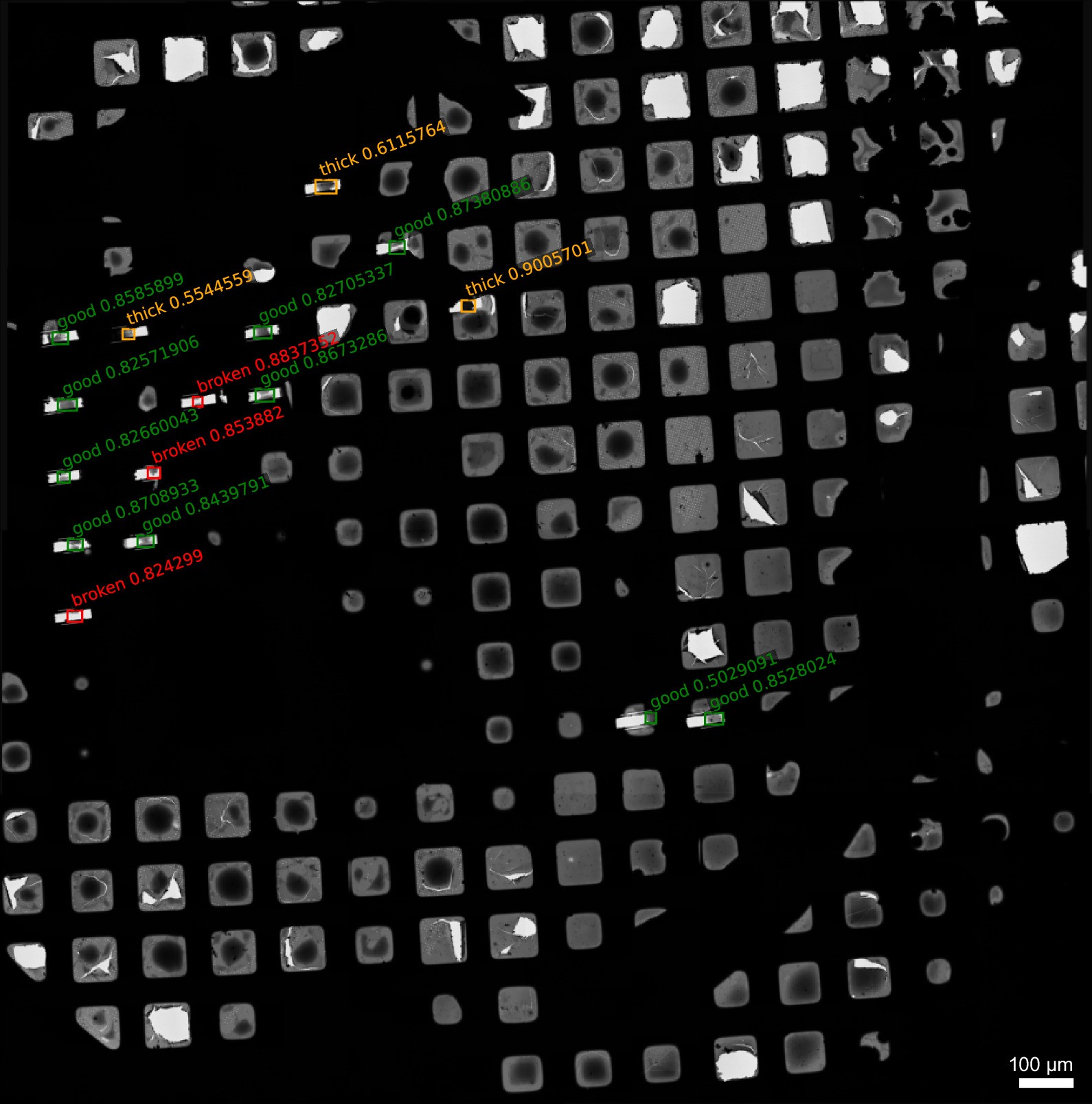 Extended Data Fig. 1