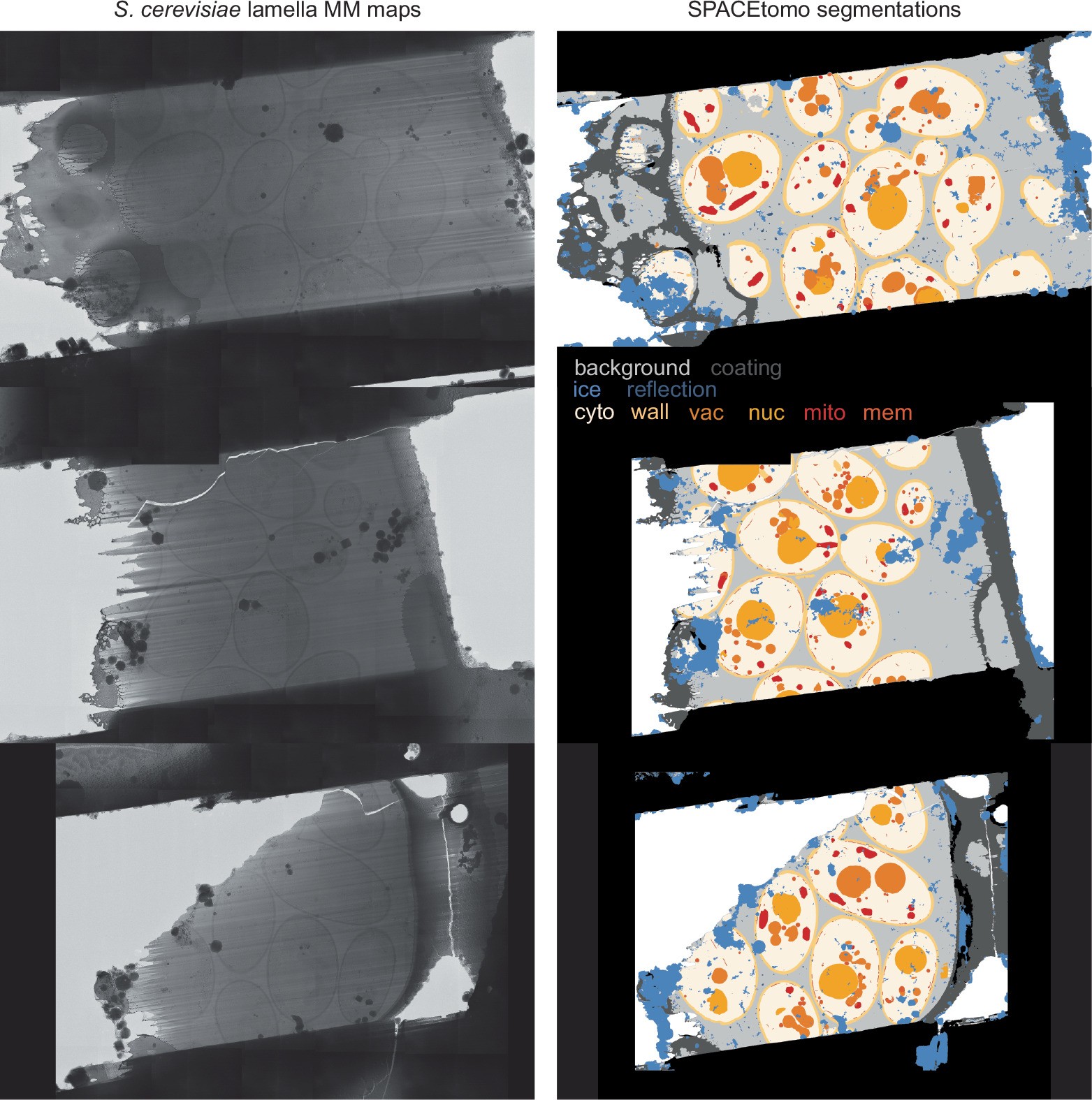 Extended Data Fig. 2