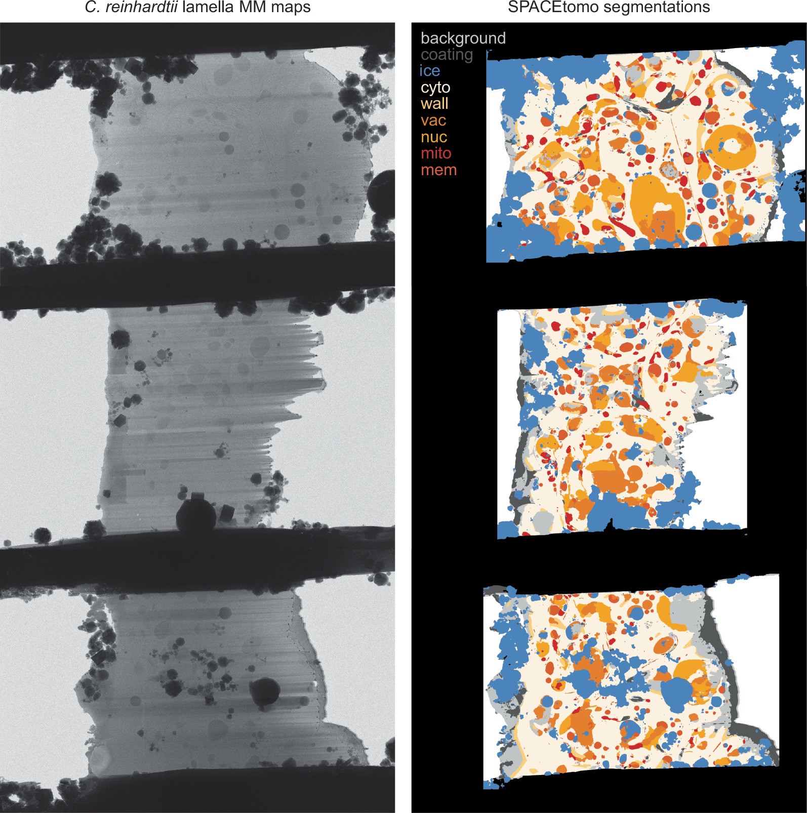 Extended Data Fig. 3