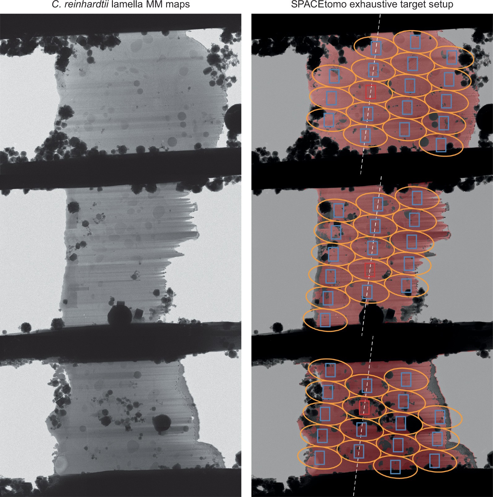 Extended Data Fig. 4