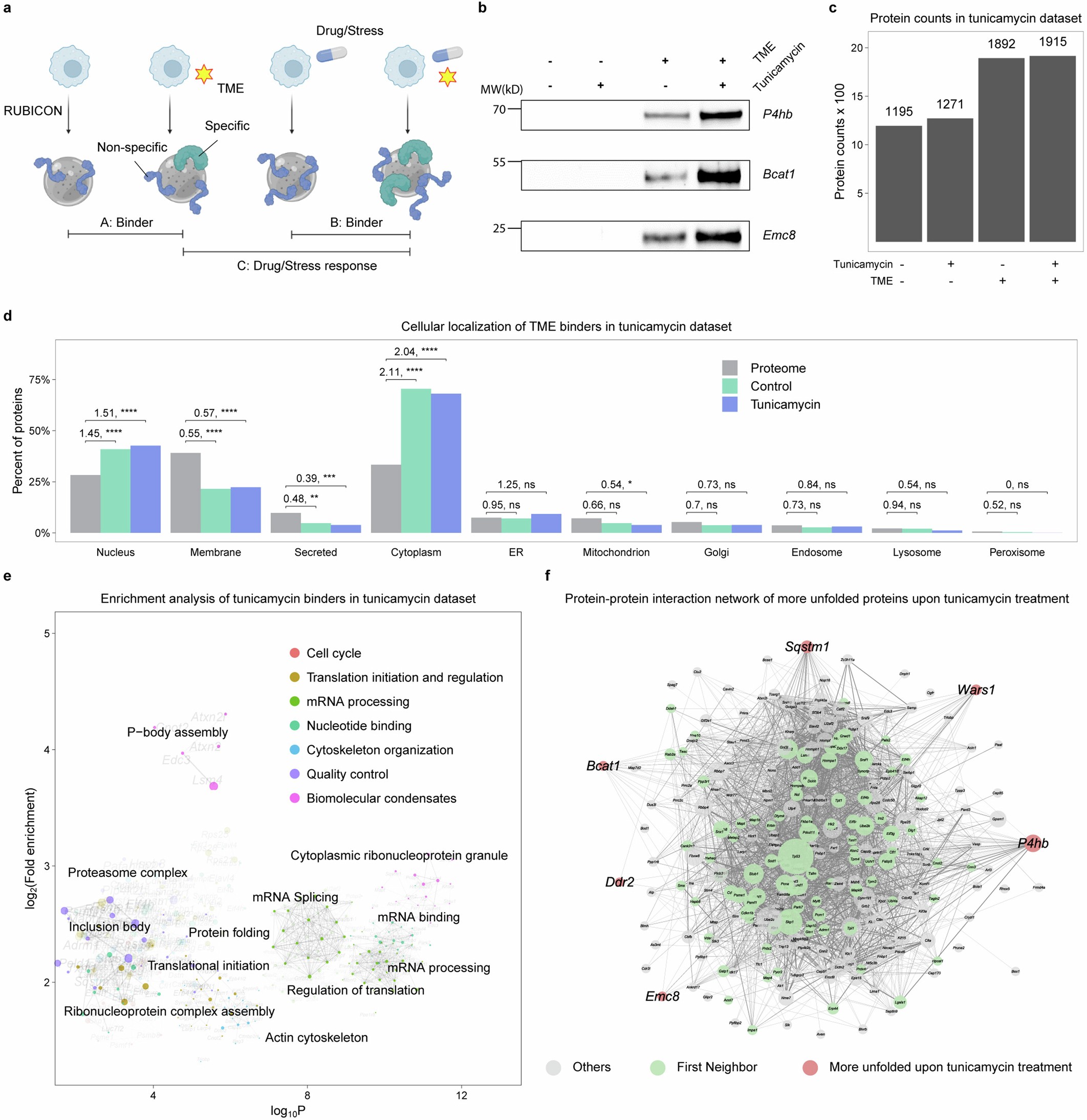 Extended Data Fig. 4