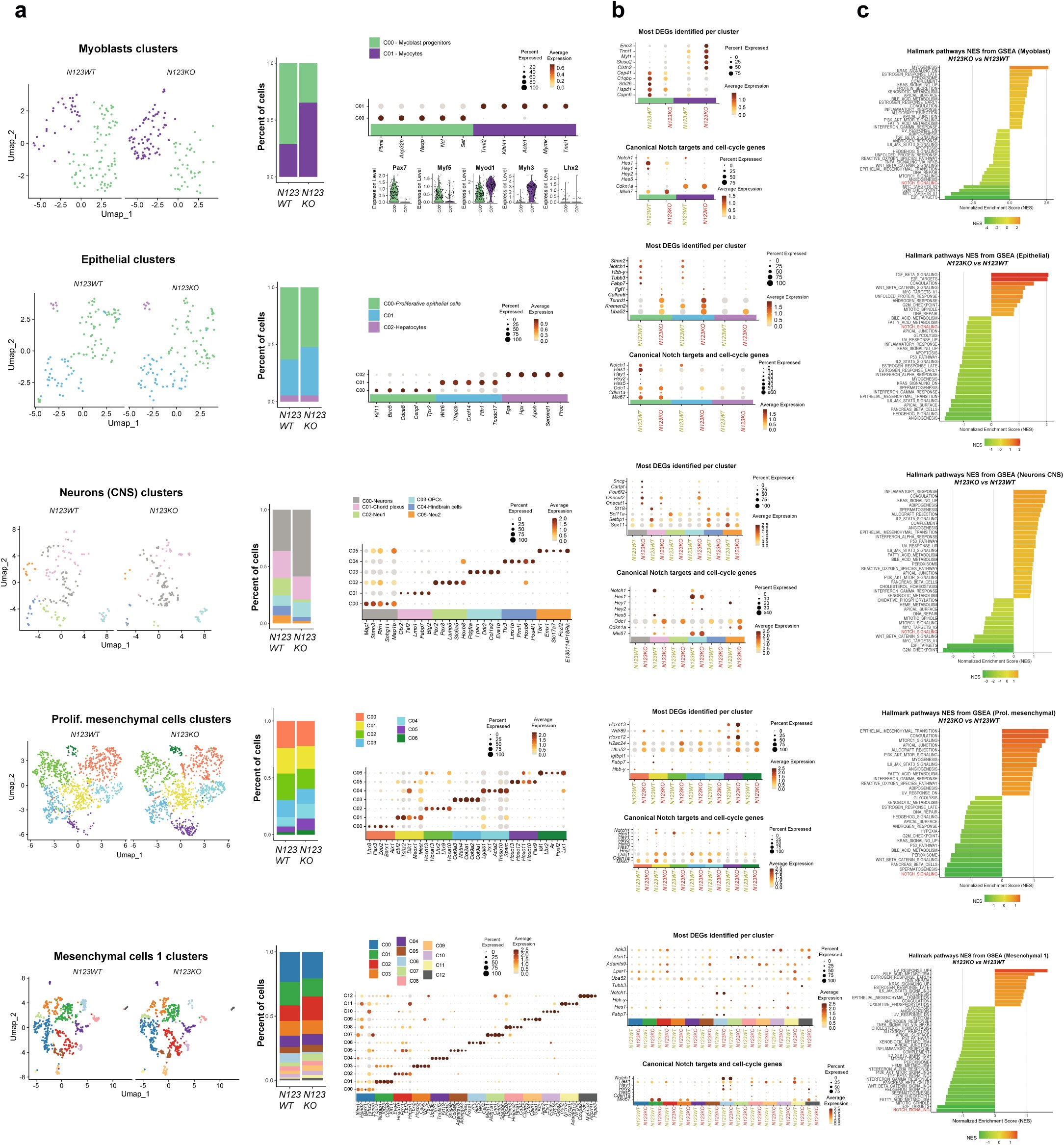 Extended Data Fig. 9: Single cell RNA-seq analysis combined with ratiometric iFlpMosaics uncovers the combined NOTCH1/2/3 receptors cell-autonomous function in diverse embryo cell types.