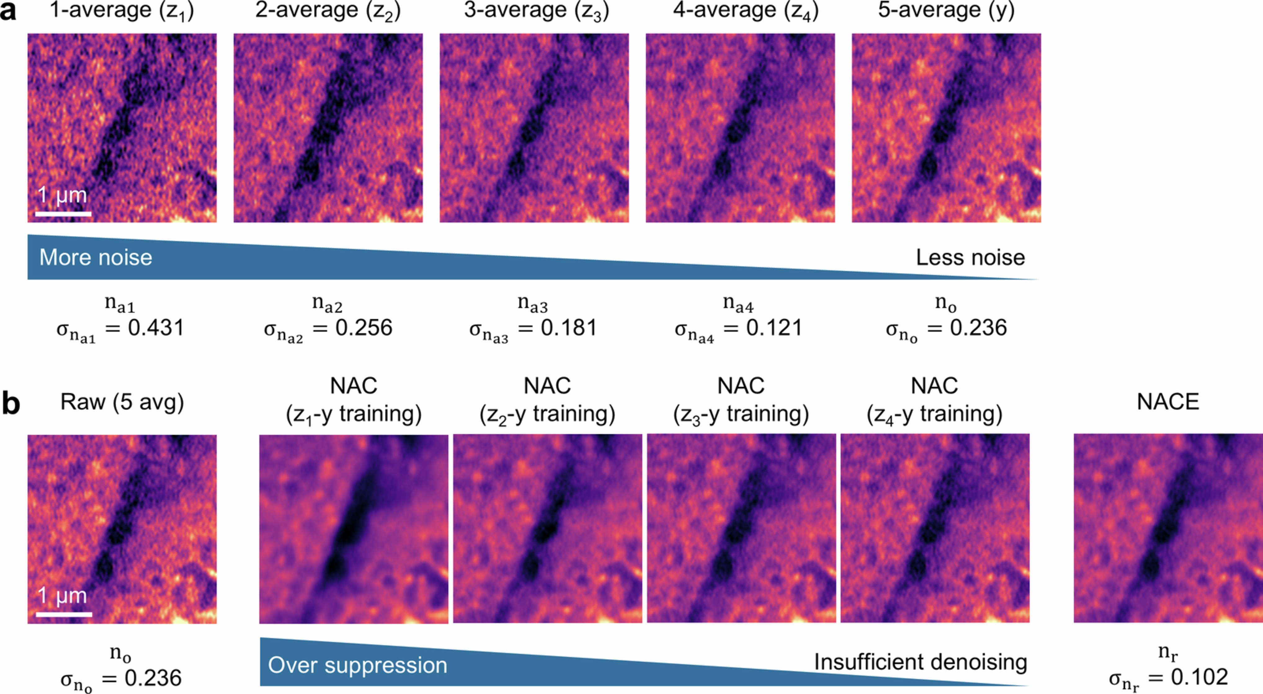 Extended Data Fig. 5