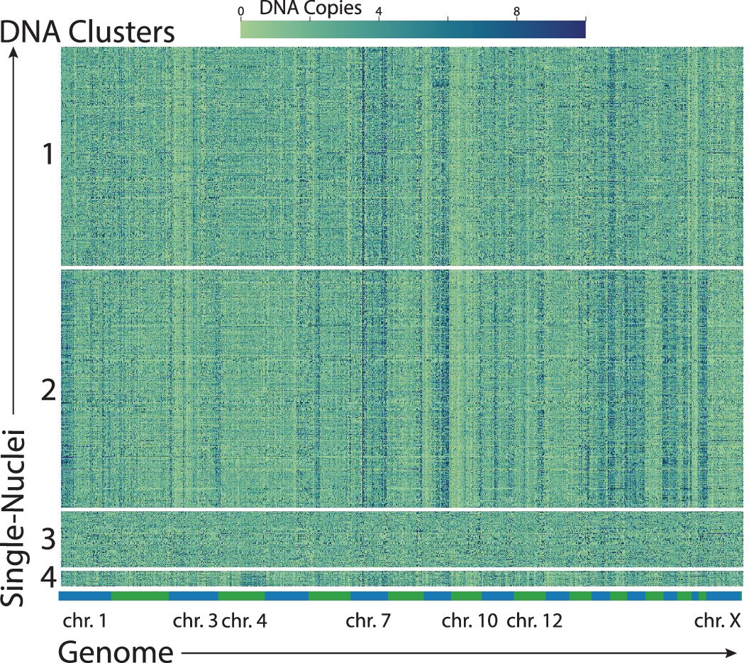 Extended Data Fig. 1