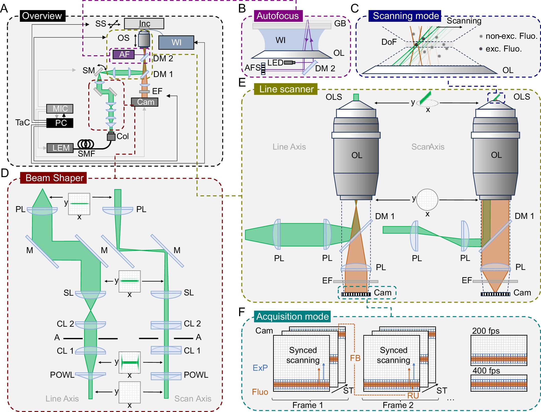 Extended Data Fig. 1: Schematic of Oblique Line Scanning microscope for single-molecule tracking.