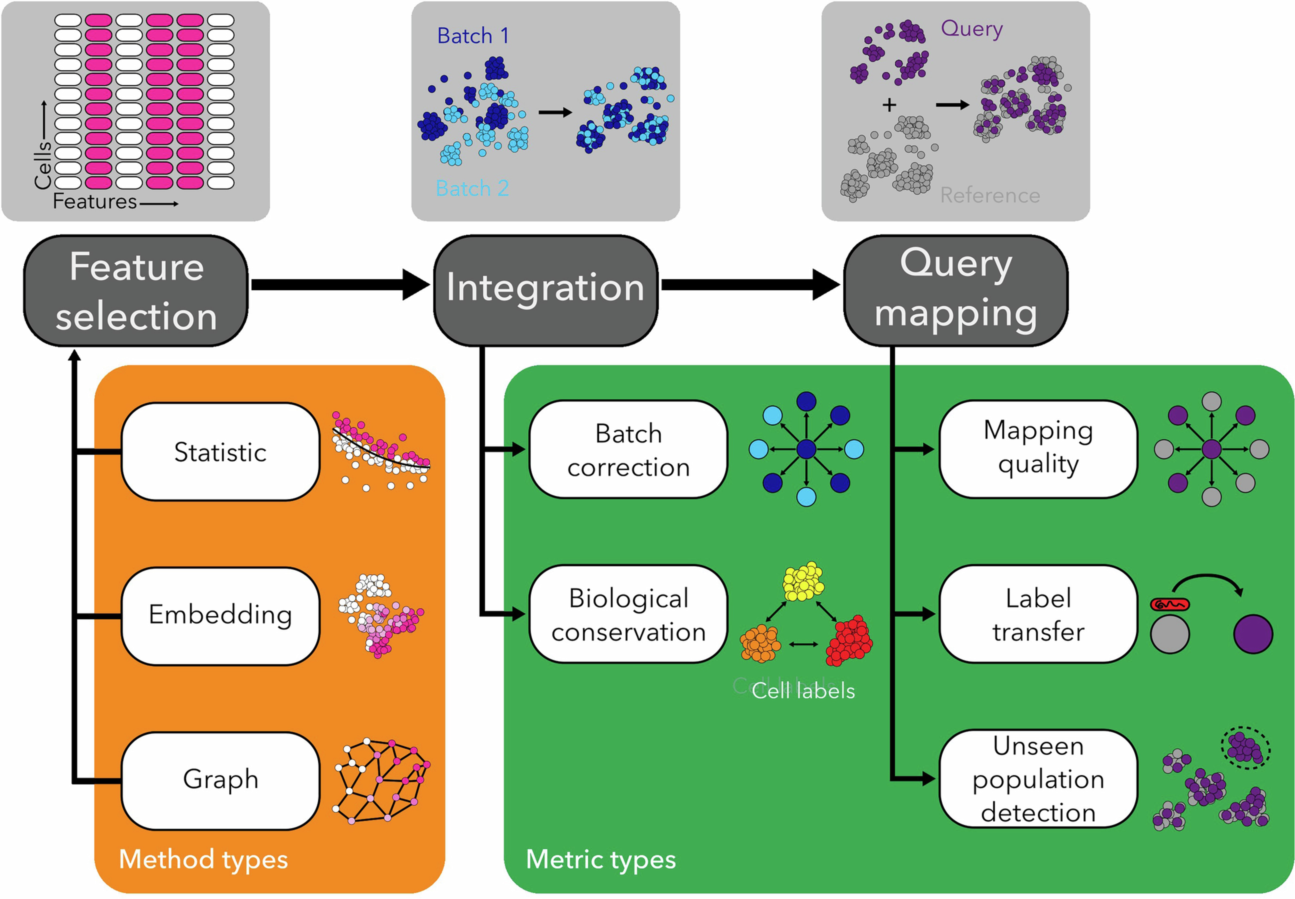 Extended Data Fig. 1: Overview of the design for the feature selection benchmarking study.