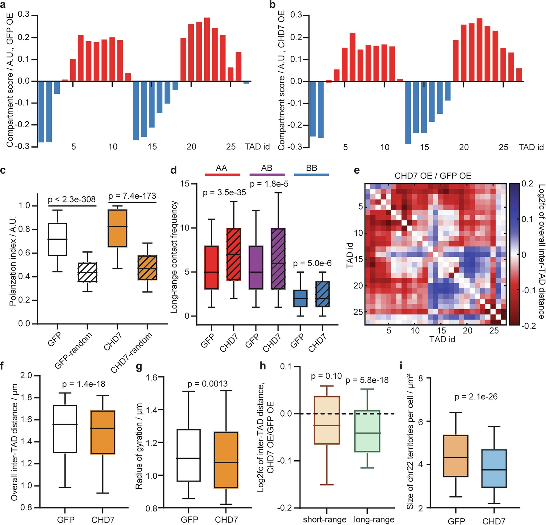 Extended Data Fig. 3: Validation of CHD7 perturbation phenotypes using overexpression.