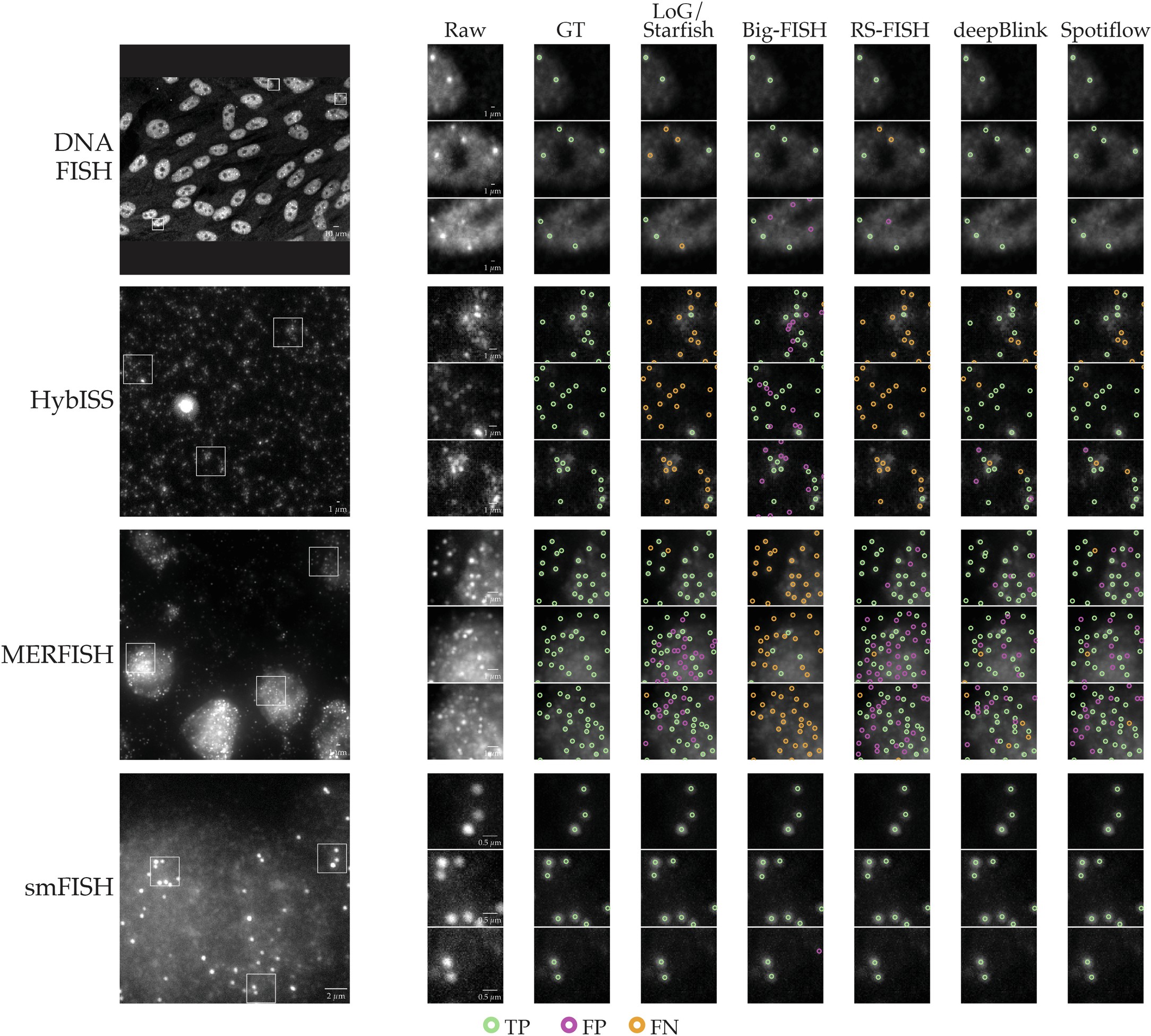 Extended Data Fig. 3