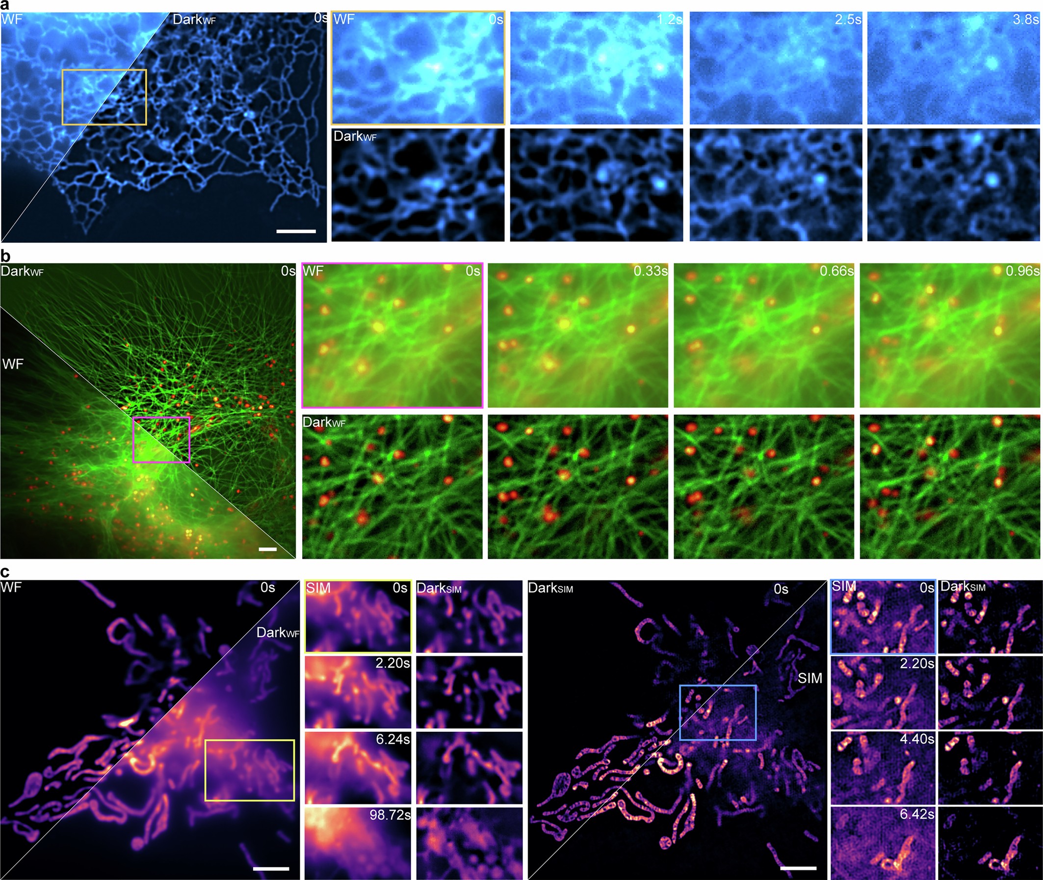 Extended Data Fig. 9