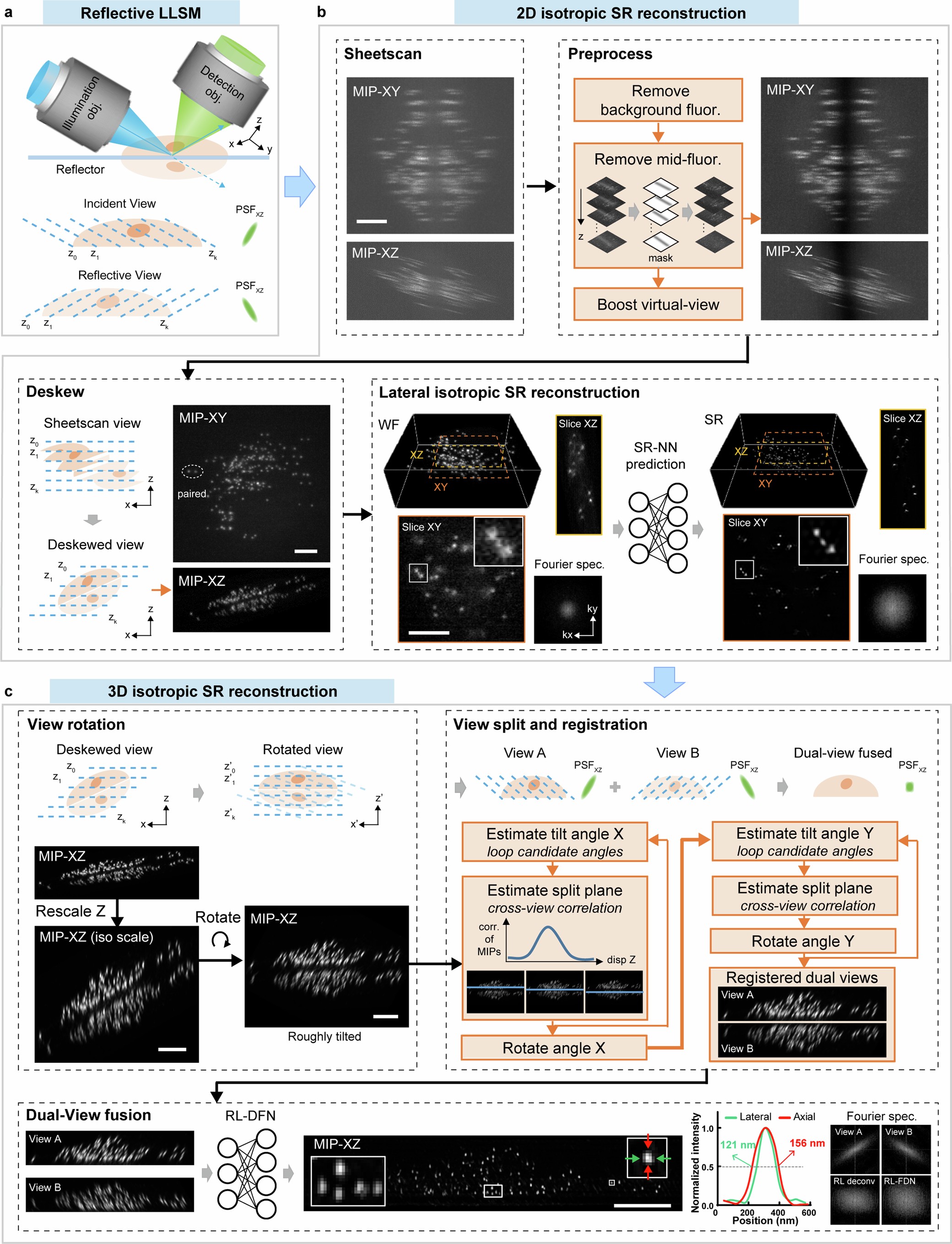 Extended Data Fig. 7