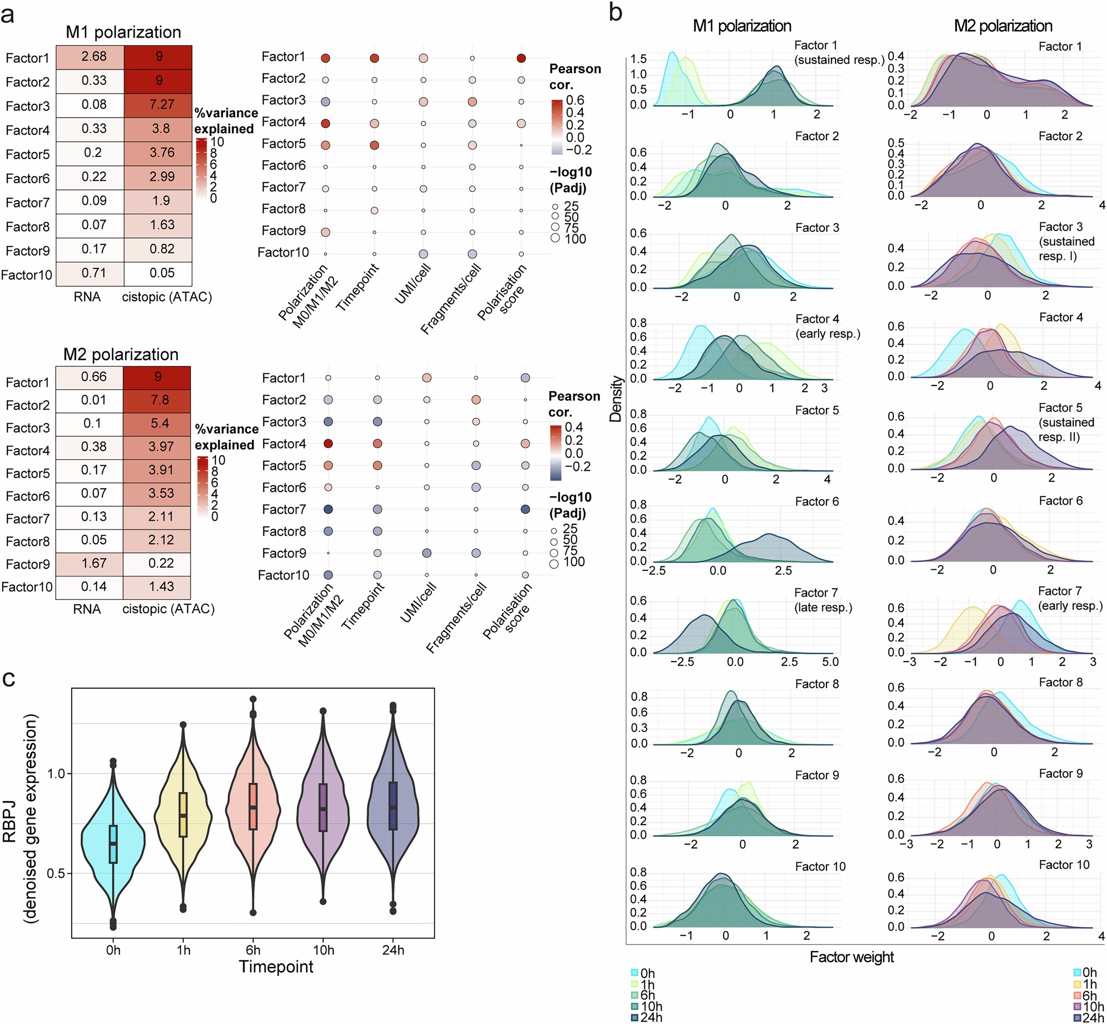 Extended Data Fig. 4: Relations of M1/M2 polarization latent factors with metadata.