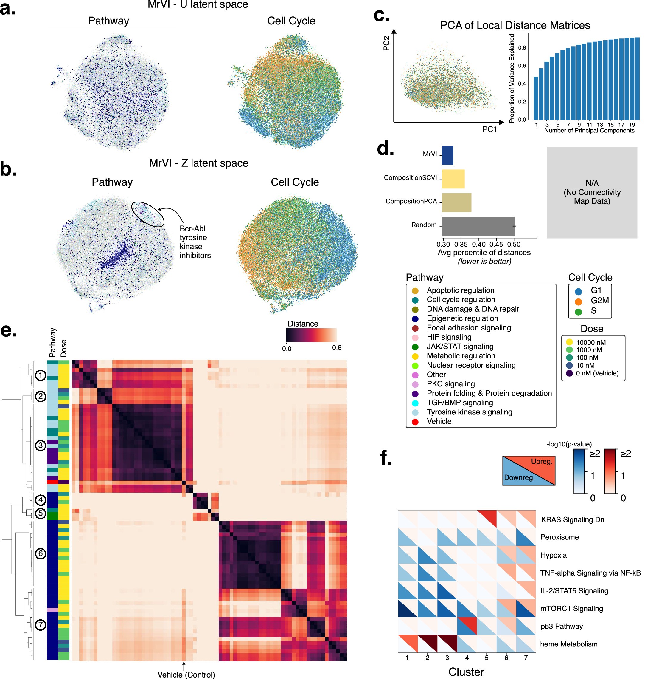 Extended Data Fig. 4: Analysis of the K562 cell line in the sci-Plex experiment.
