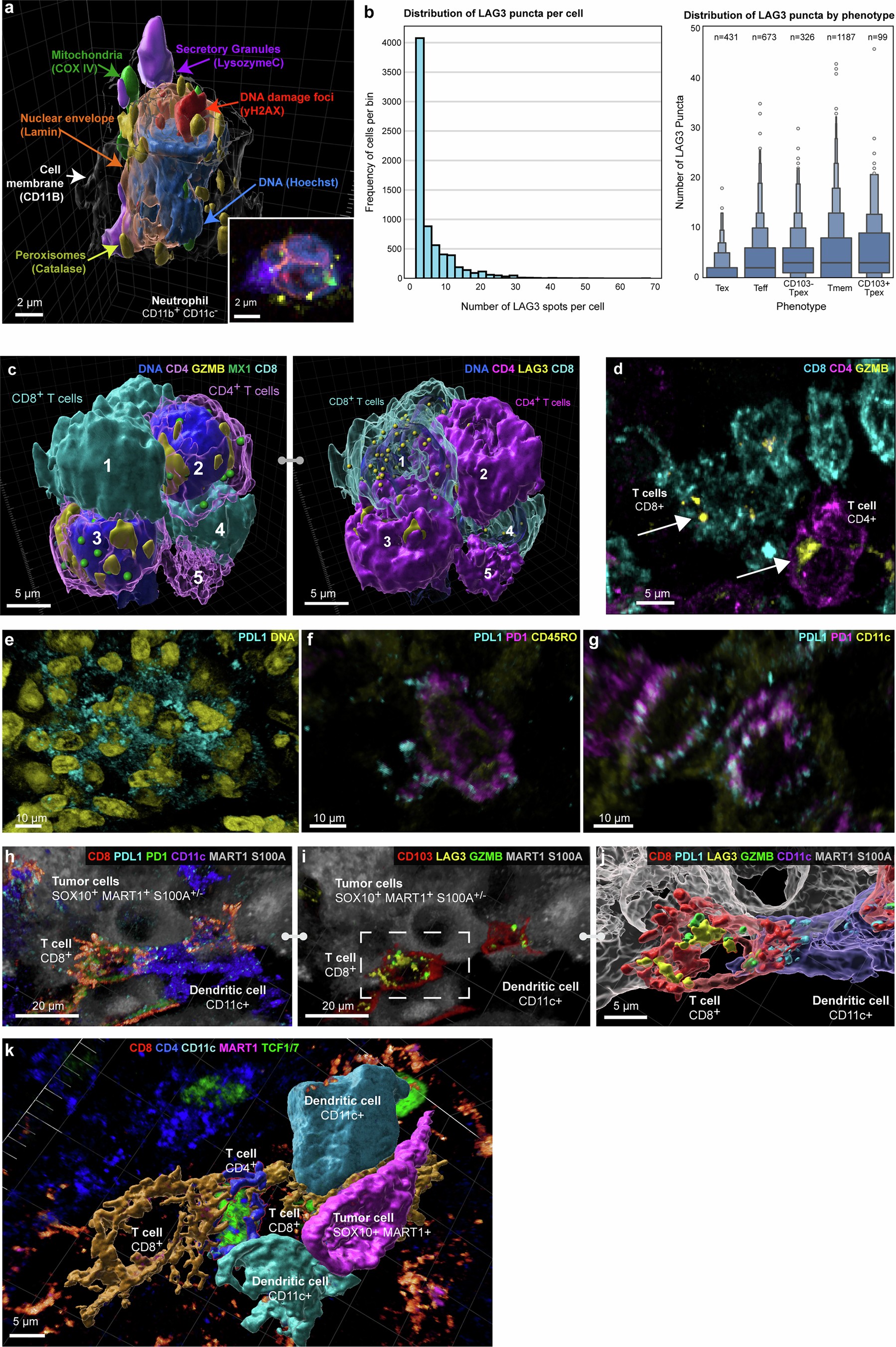 Extended Data Fig. 4