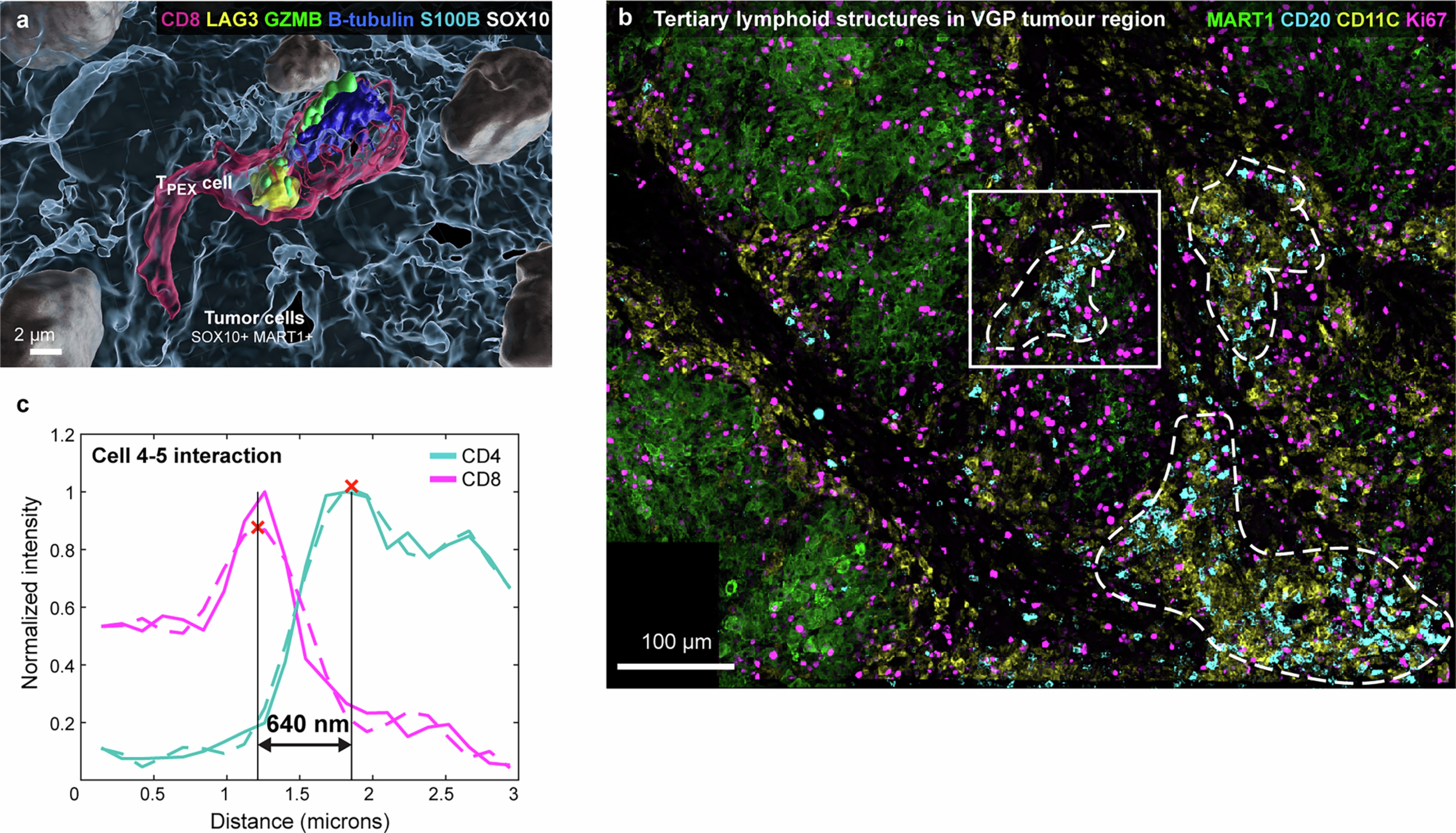Extended Data Fig. 7
