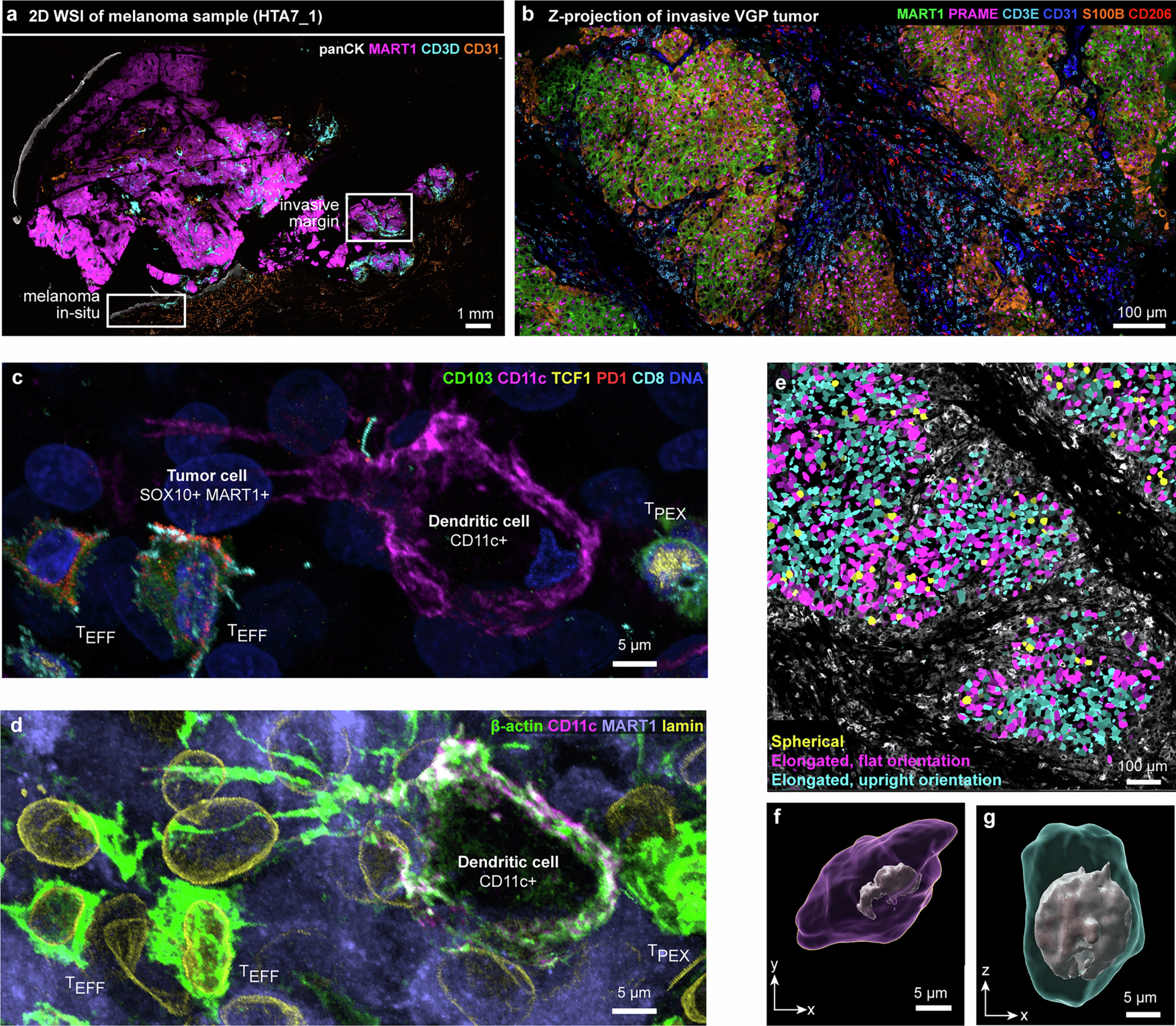 Extended Data Fig. 2