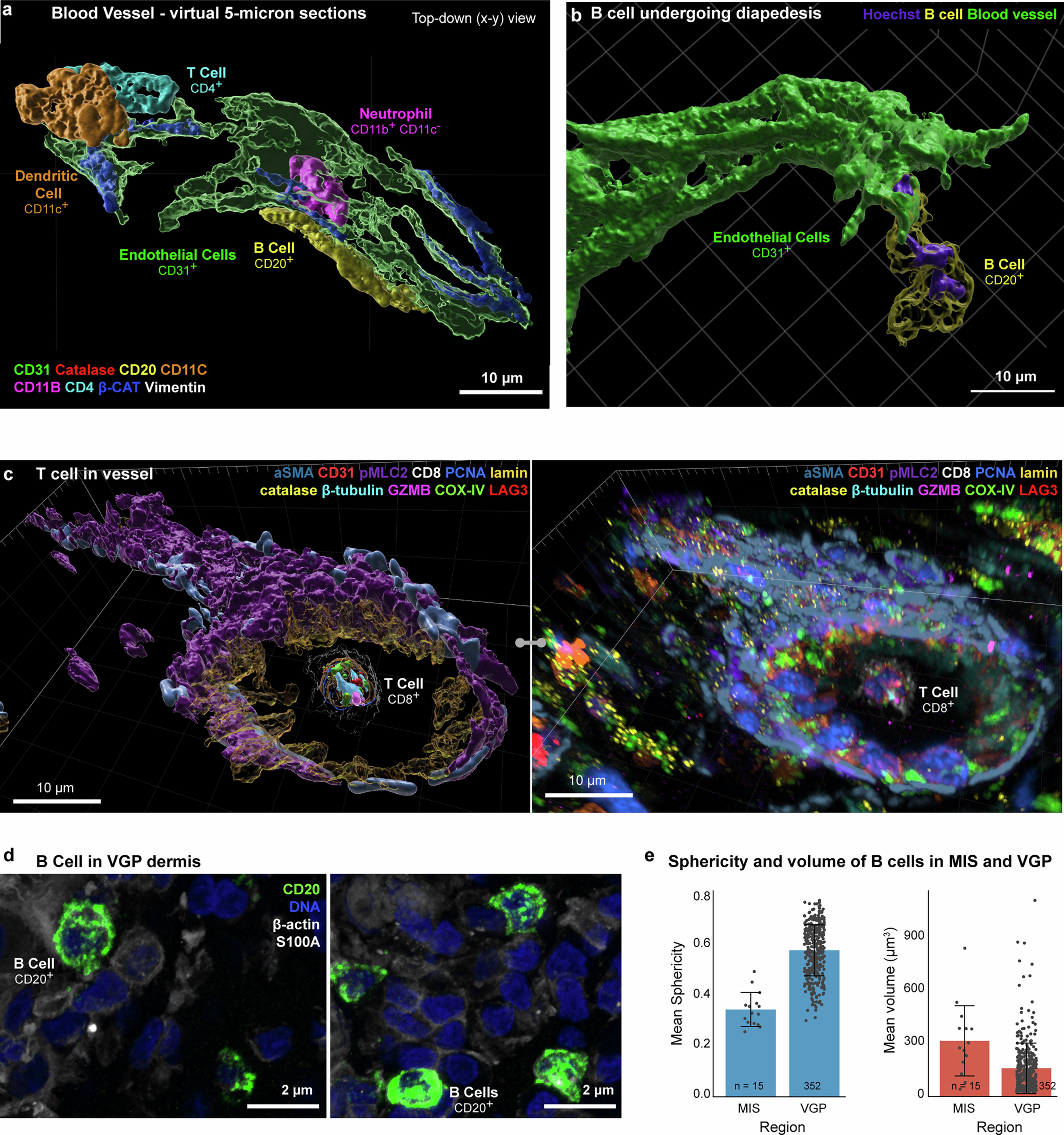 Extended Data Fig. 3