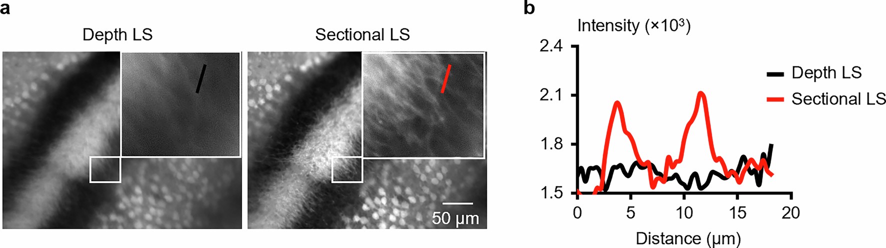 Extended Data Fig. 8