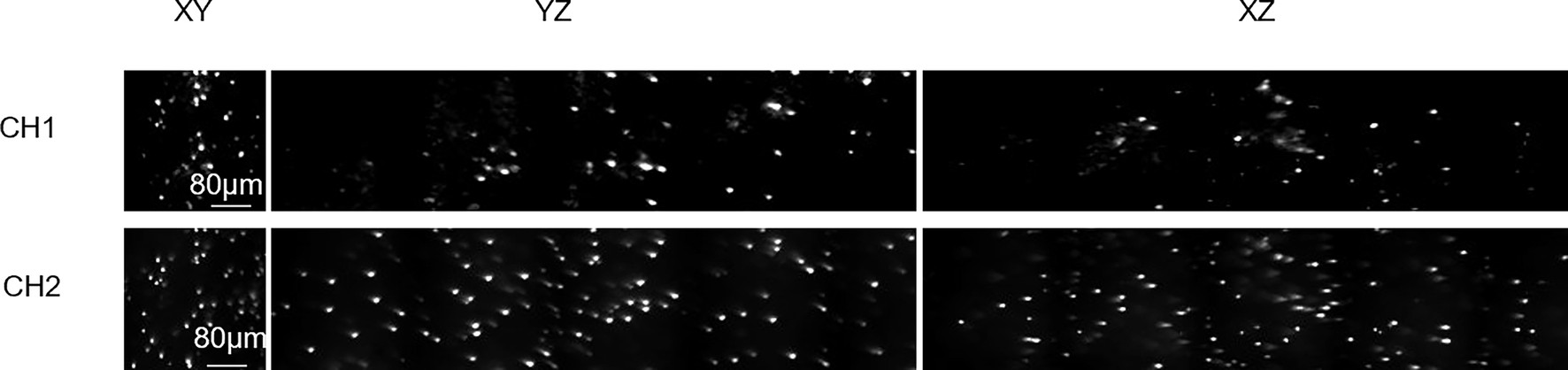 Extended Data Fig. 3