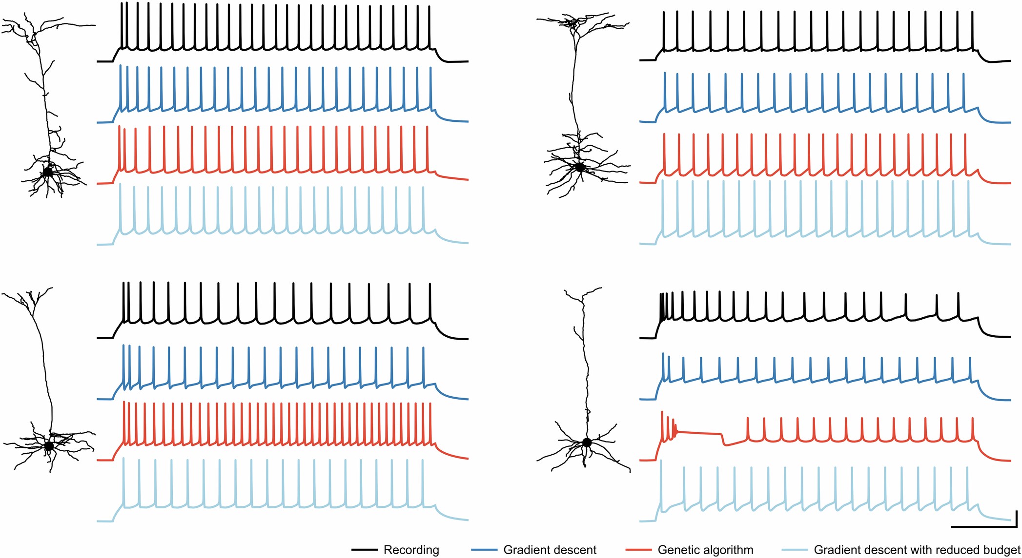 Extended Data Fig. 5