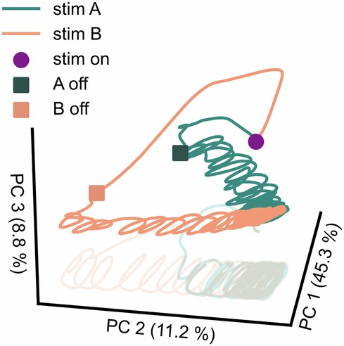 Extended Data Fig. 8