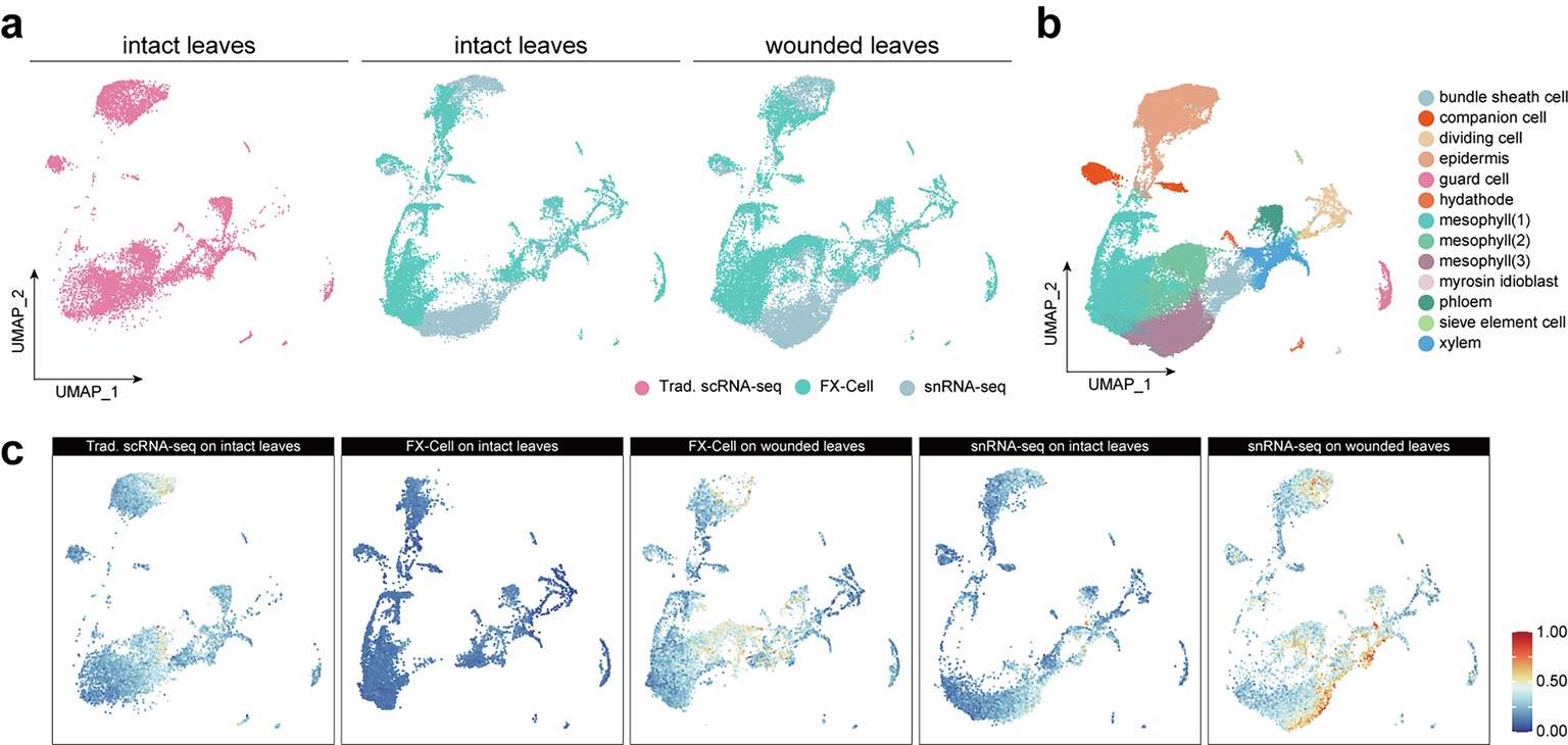 Extended Data Fig. 9: Supporting data for comparison of FXcryo-Cell and snRNA-seq.