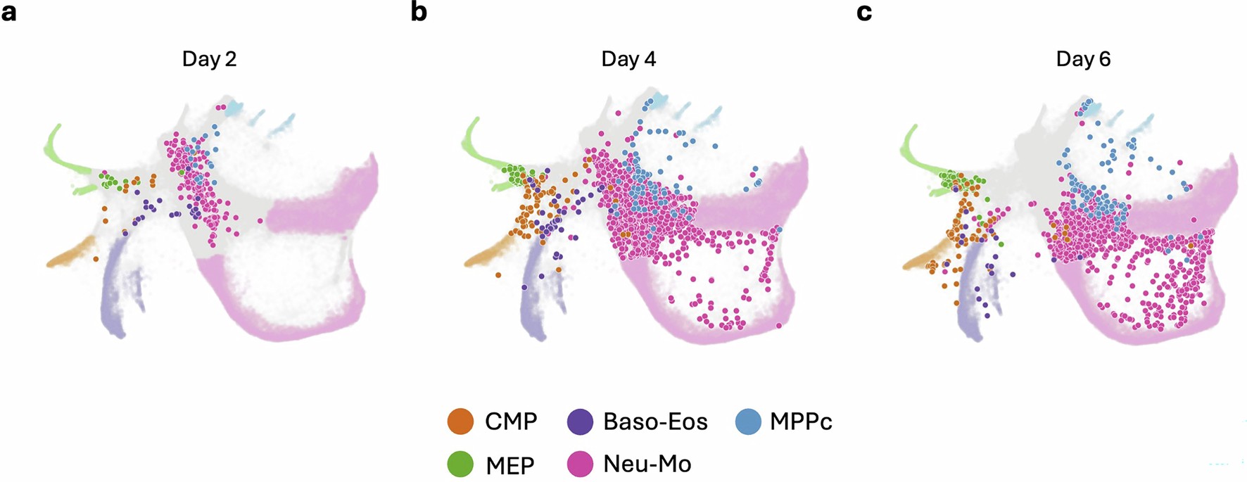 Extended Data Fig. 5: Progenitor predictions given by Carta (colored dots) for undifferentiated cells sampled at different days.