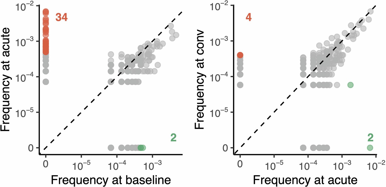 Extended Data Fig. 5: Longitudinal clonal tracking with 10x Genomics Chromium scTCR-seq.