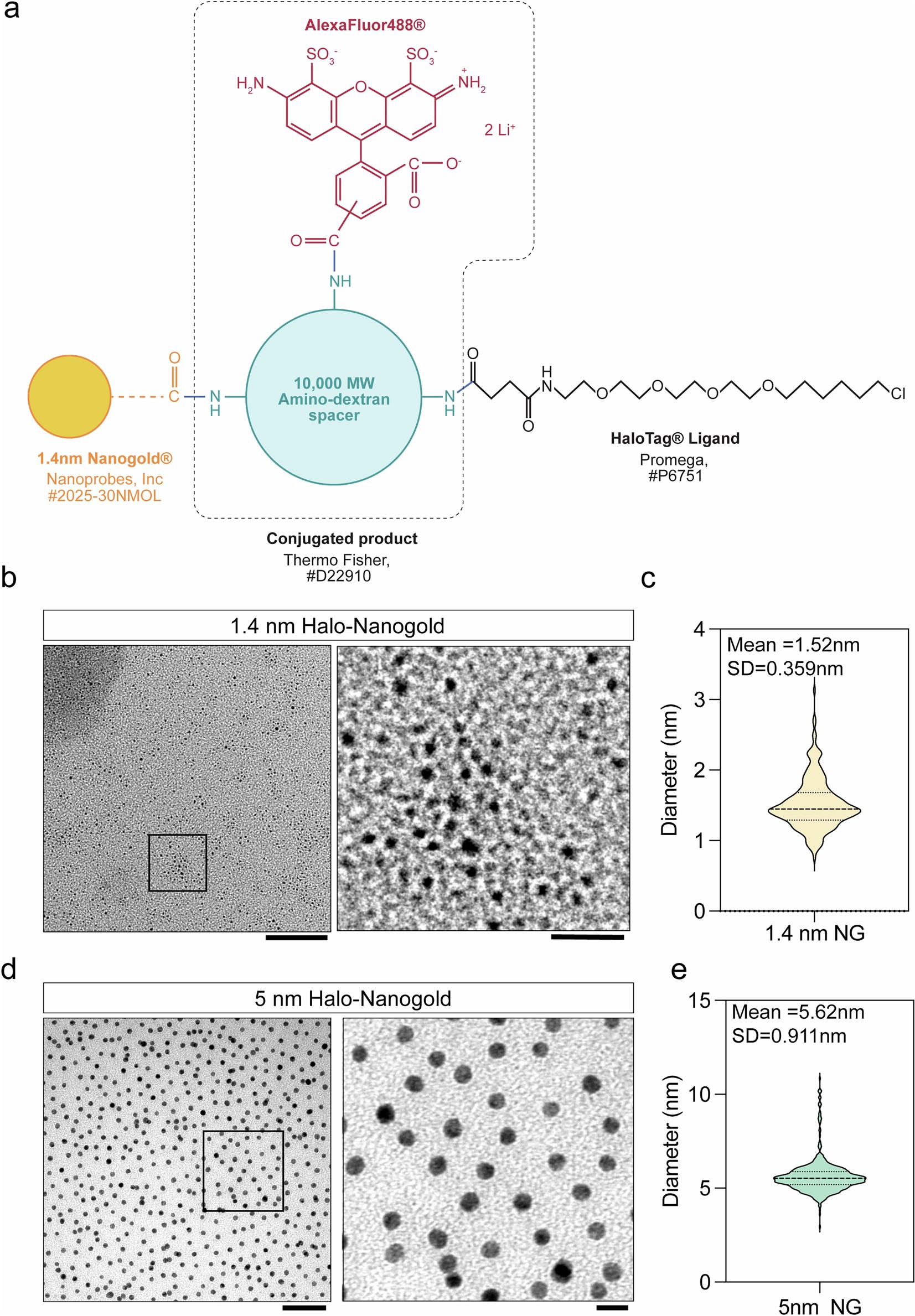 Extended Data Fig. 1: Size distribution of Halo-nanogold particles.