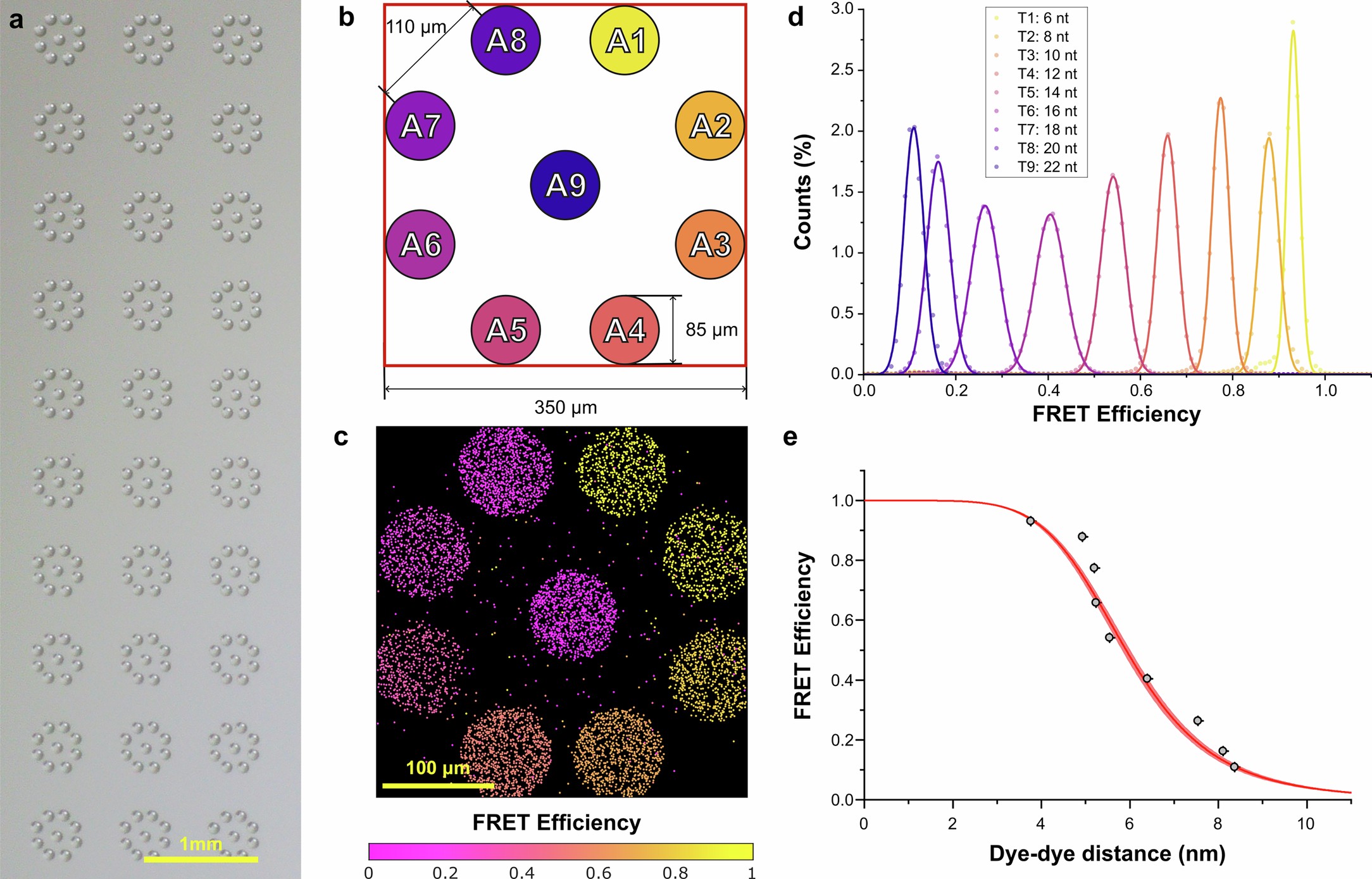 Extended Data Fig. 9