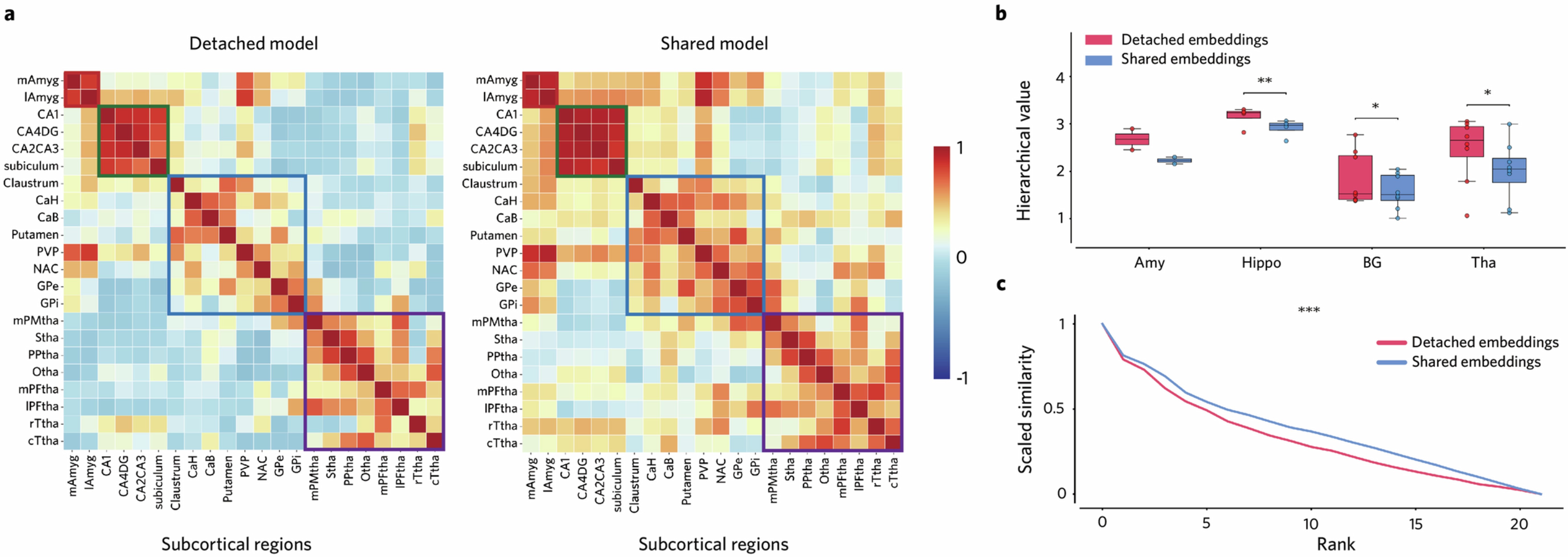 Extended Data Fig. 4: Region-specific transcriptional profiles in the human subcortex.