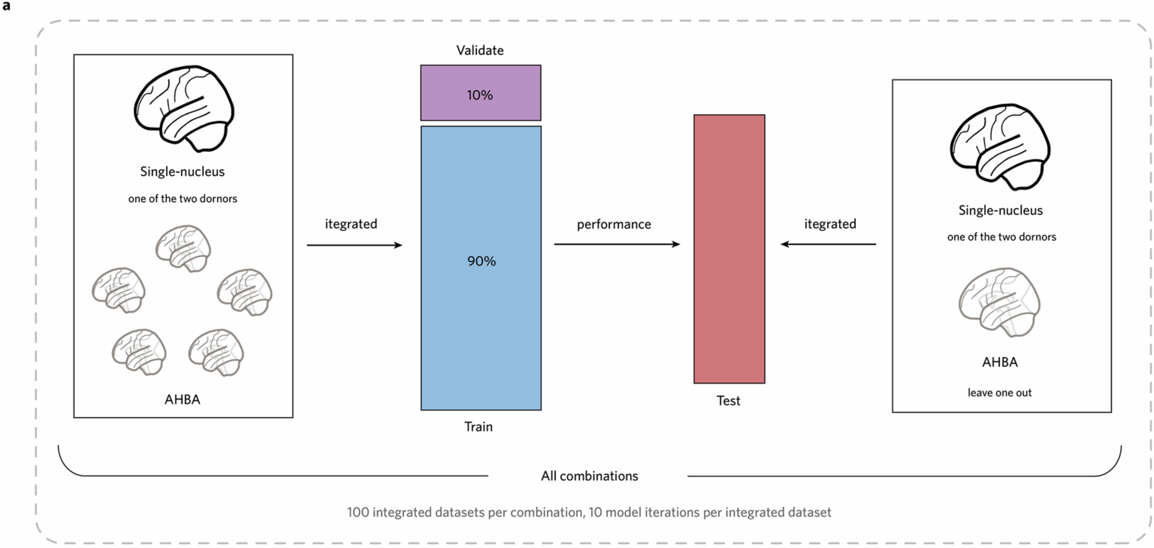 Extended Data Fig. 2: The pipeline to test the deep neural network model’s generalizability and accuracy.