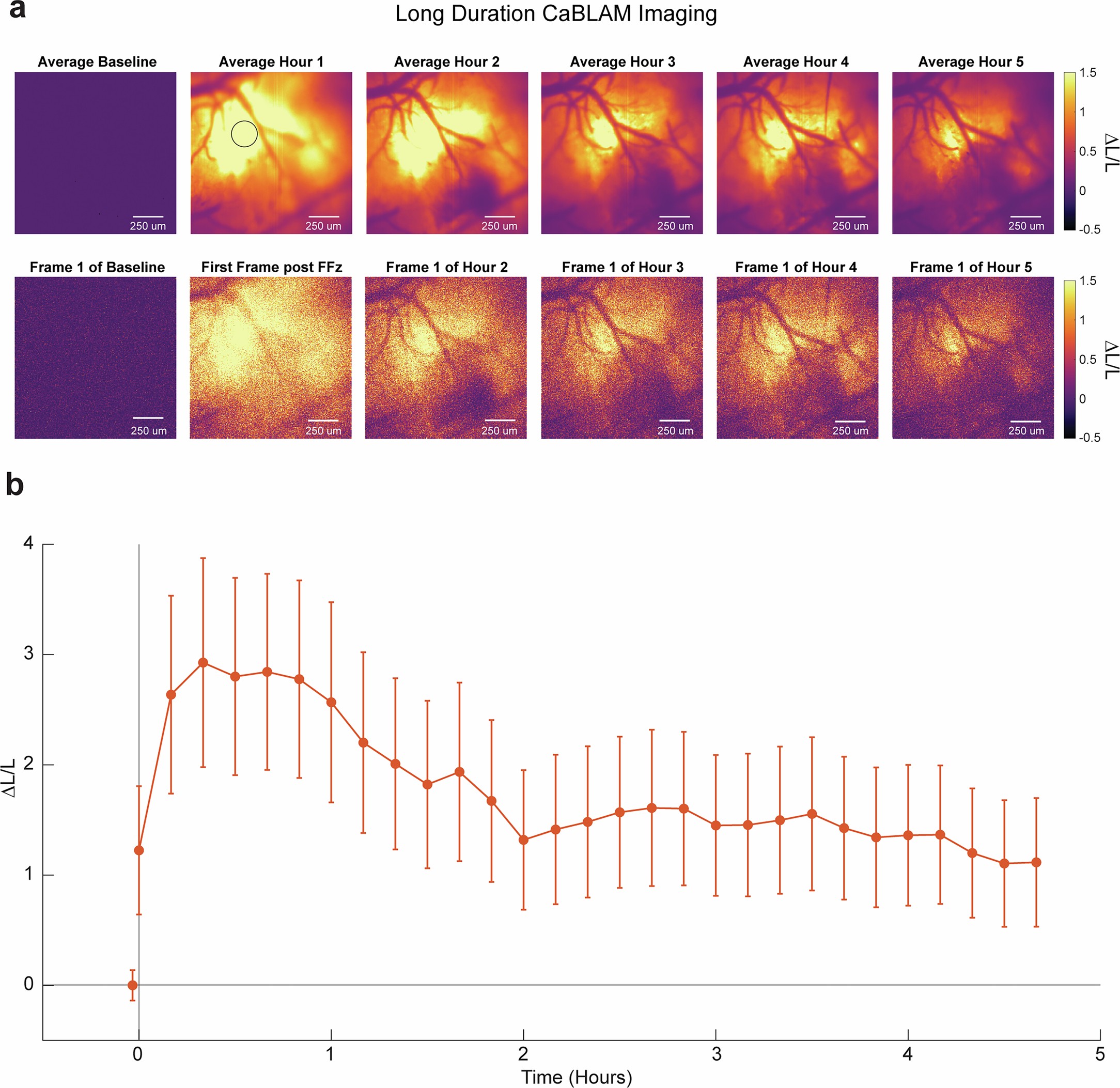 Extended Data Fig. 3