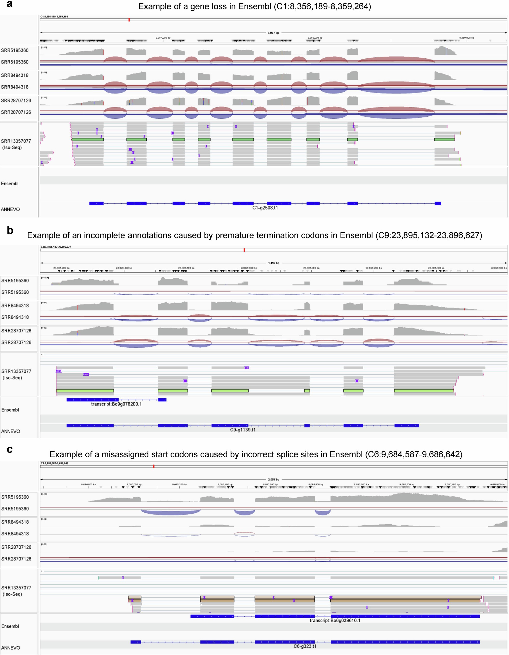 Extended Data Fig. 6: Examples of ANNEVO Correcting Erroneous Gene Annotations in Ensembl.