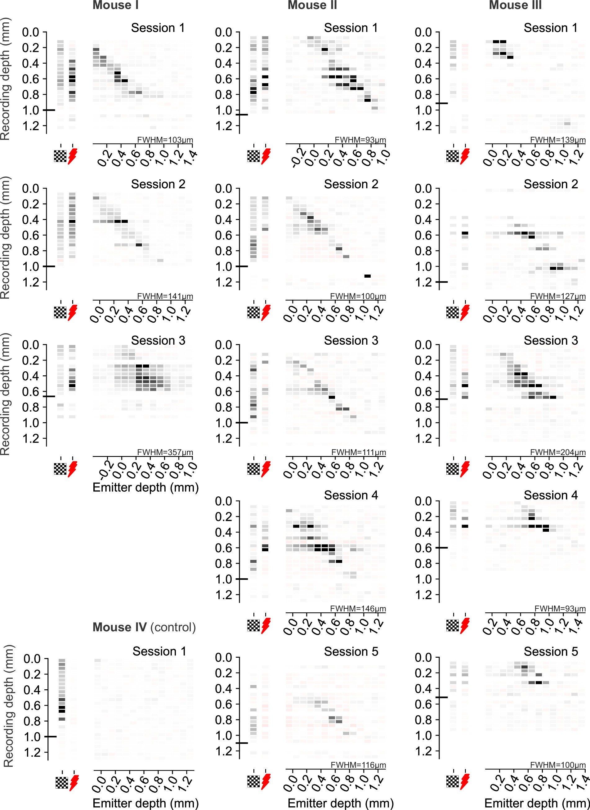 Extended Data Fig. 5: Activating local neural populations: additional examples.