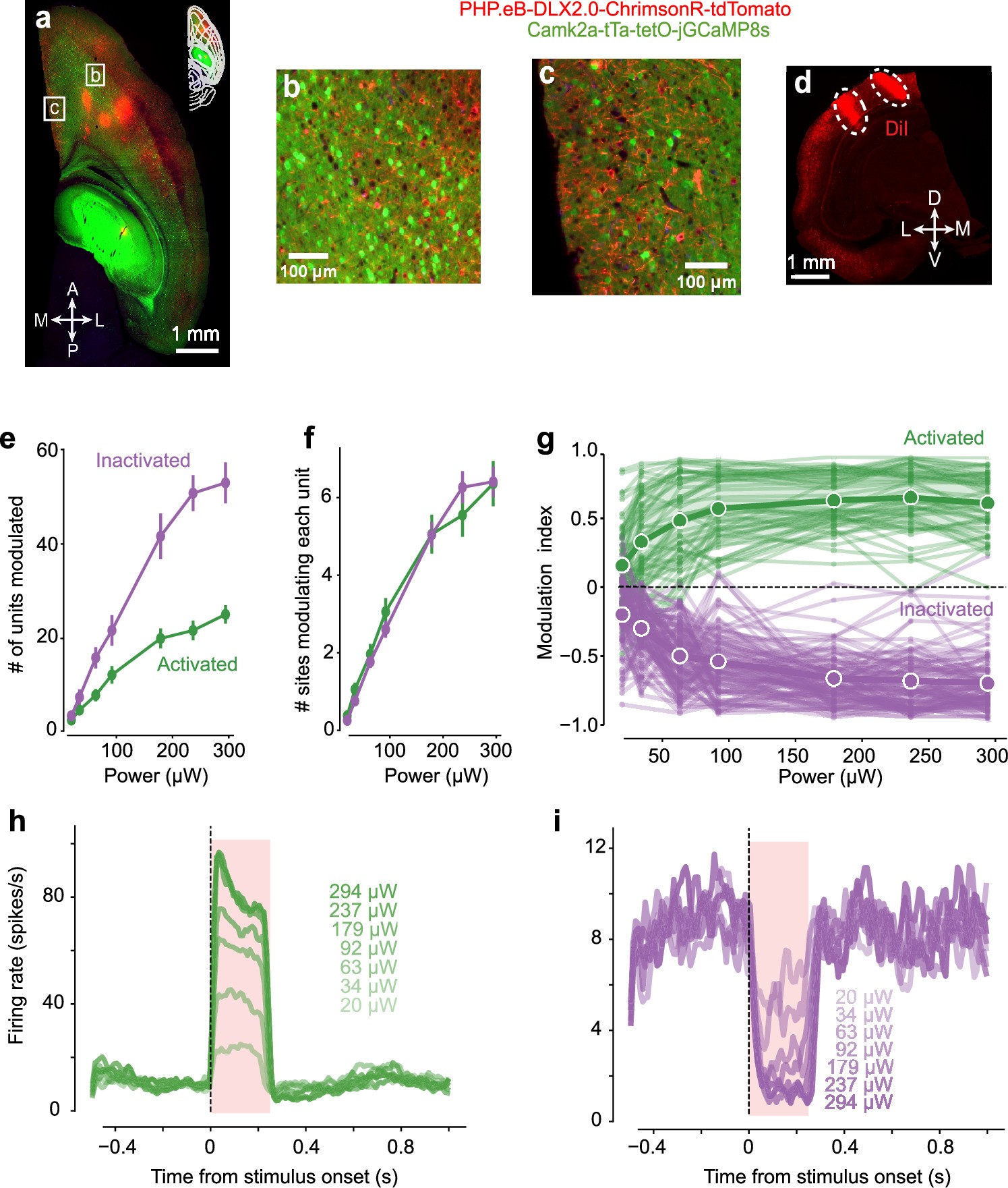 Extended Data Fig. 6: Driving local circuits: opsin expression and power dependence.