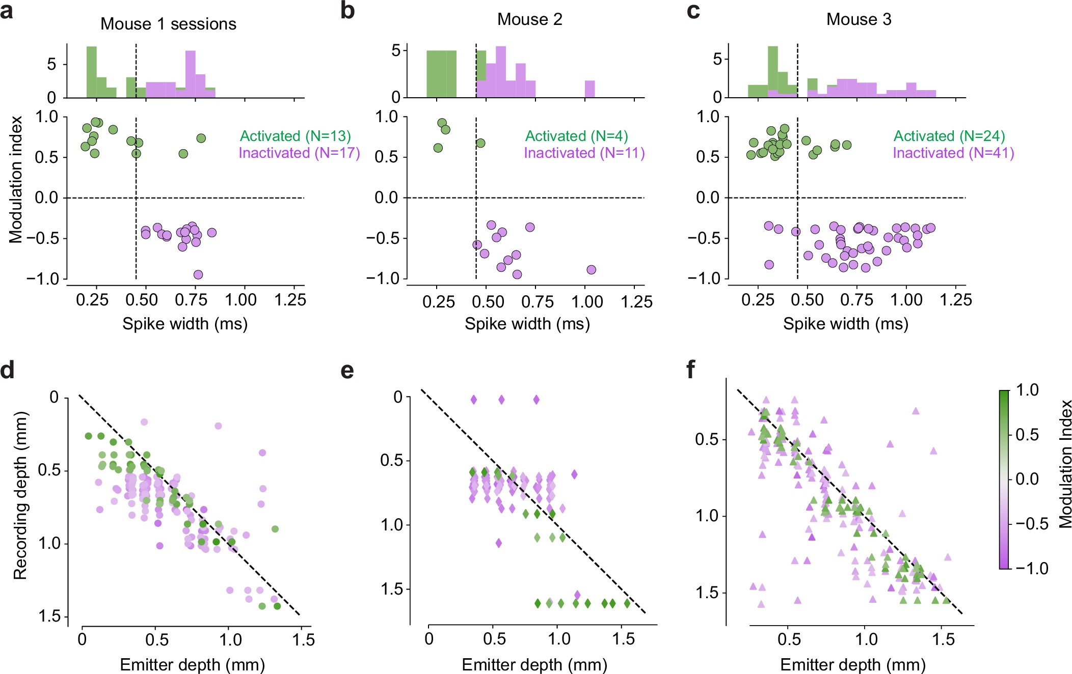 Extended Data Fig. 7: Activation of putative inhibitory neurons in individual mice.