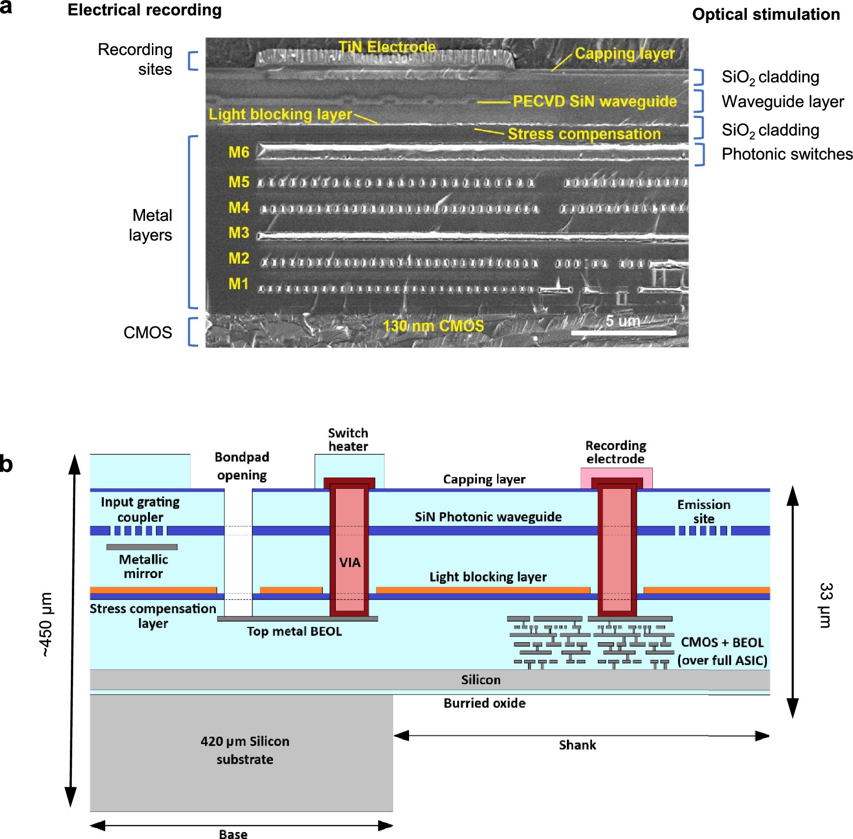 Extended Data Fig. 1: The integrated CMOS/Photonics platform.