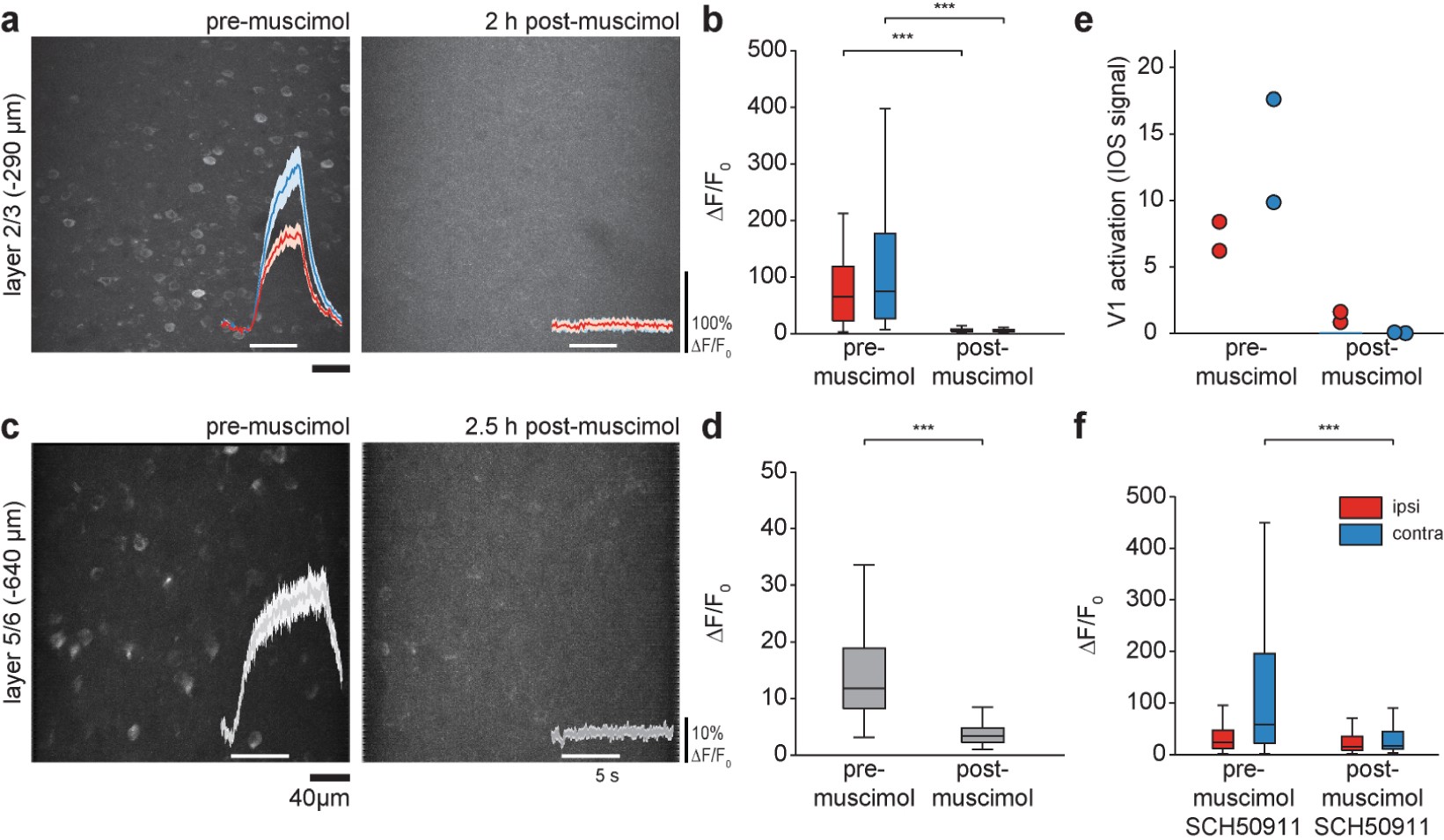 Supplementary Figure 7