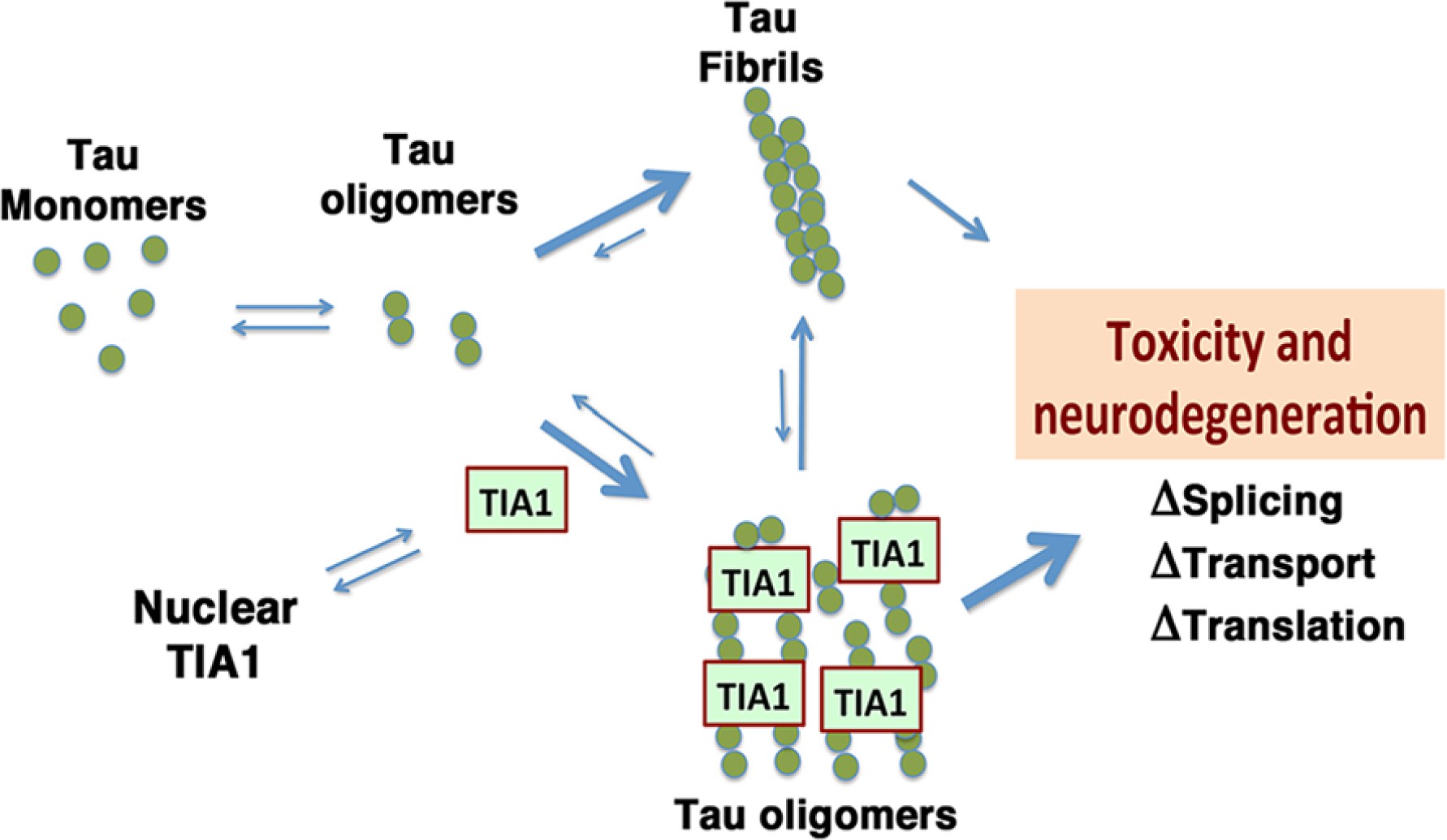 Supplementary Figure 15