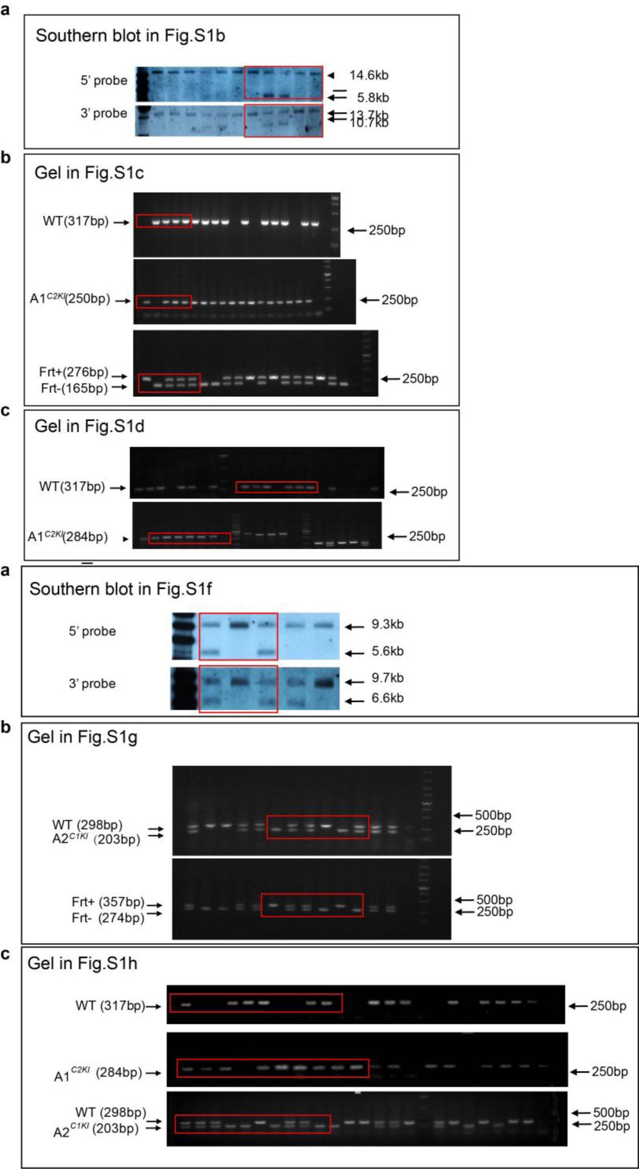 Supplementary Figure 9