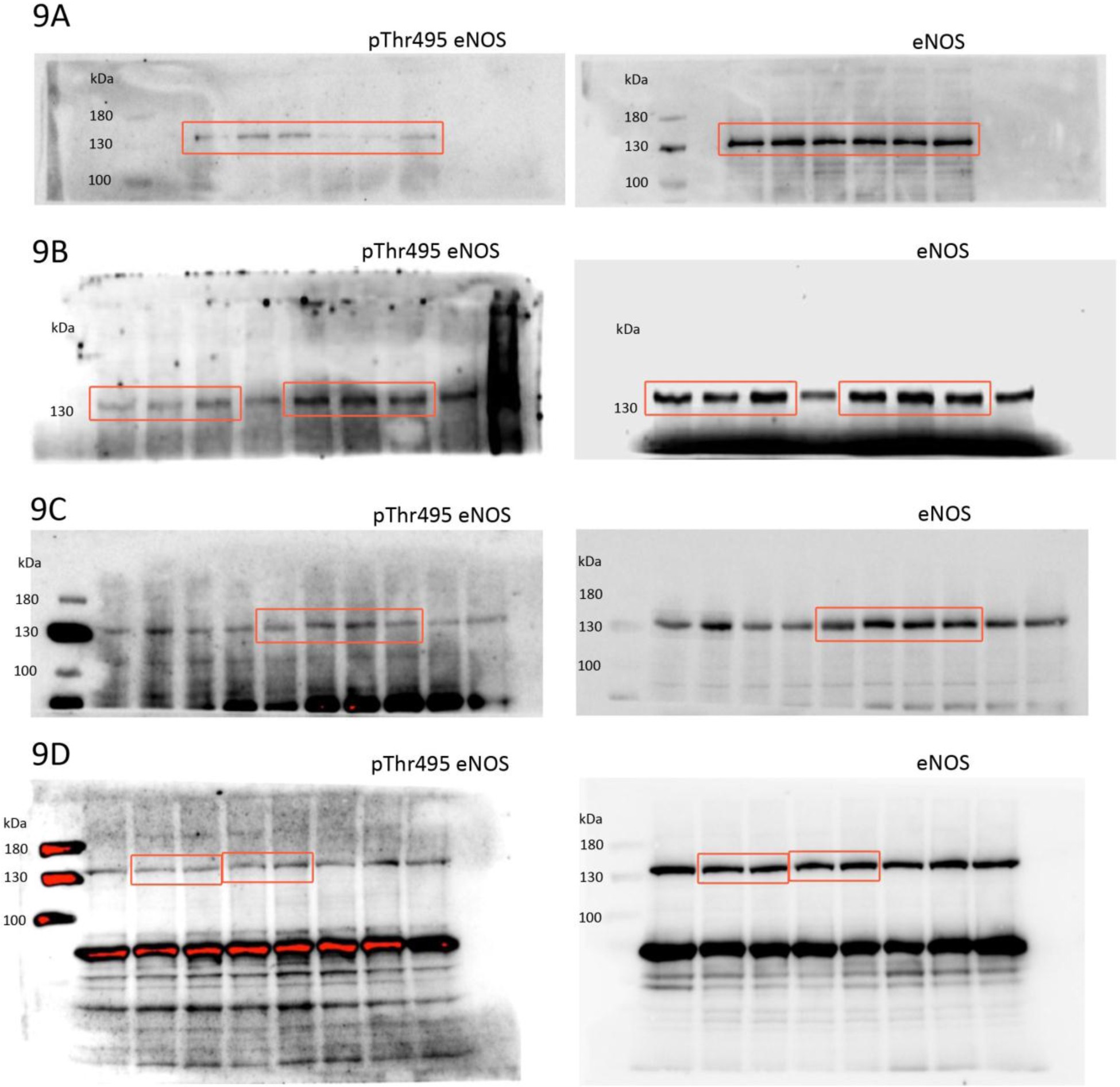 Supplementary Figure 14