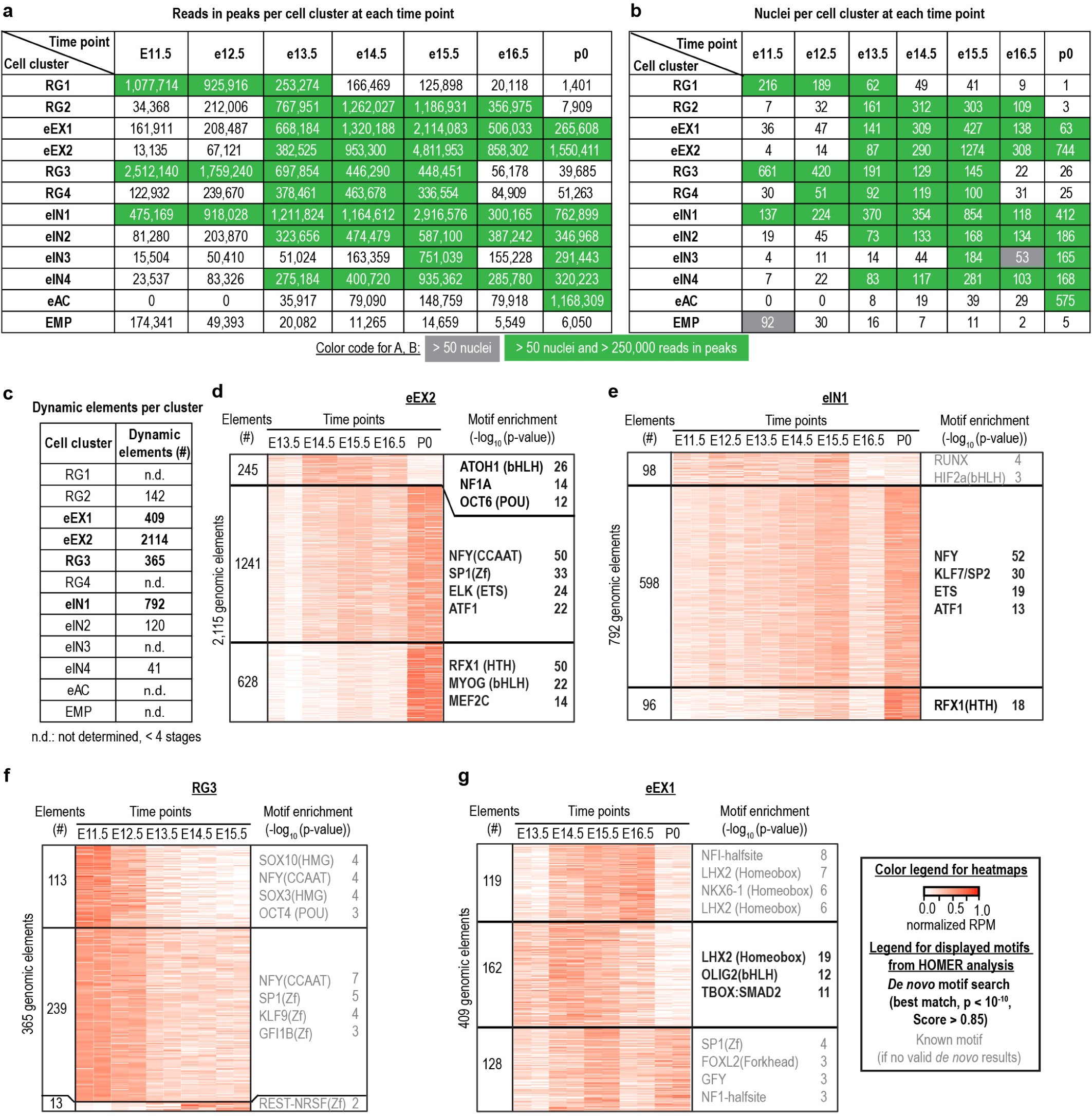 Supplementary Figure 12: Dynamics of chromatin accessibility within distinct cell groups.