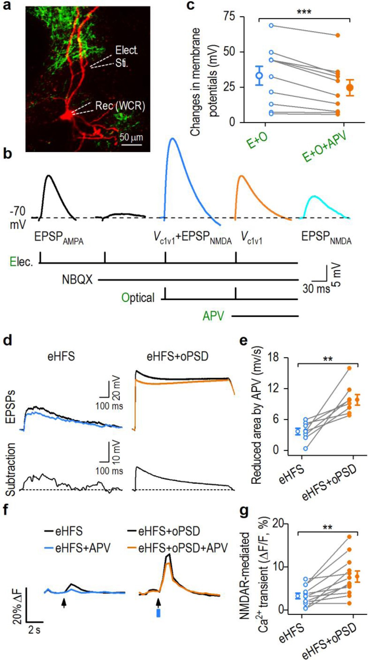 Supplementary Figure 3