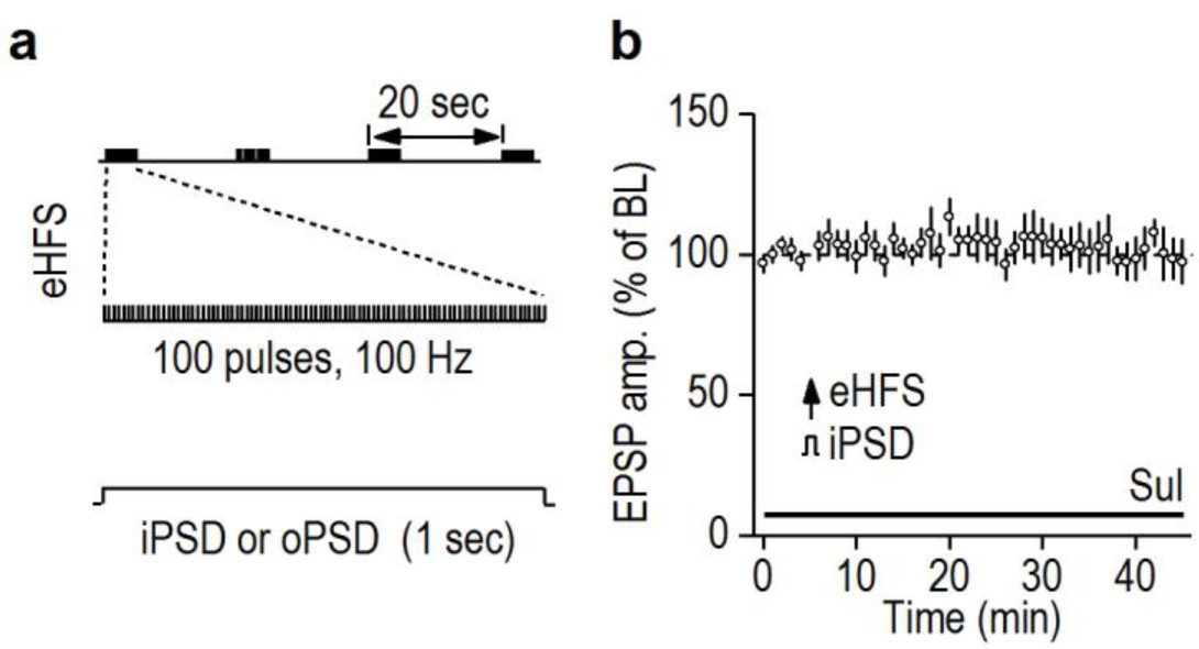 Supplementary Figure 1