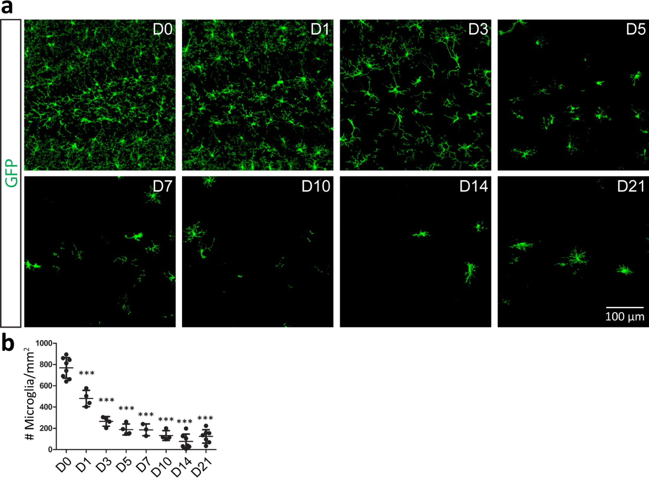 Supplementary Figure 2: Inhibition of CSF1R by PLX5622 rapidly depletes microglia in hippocampus.