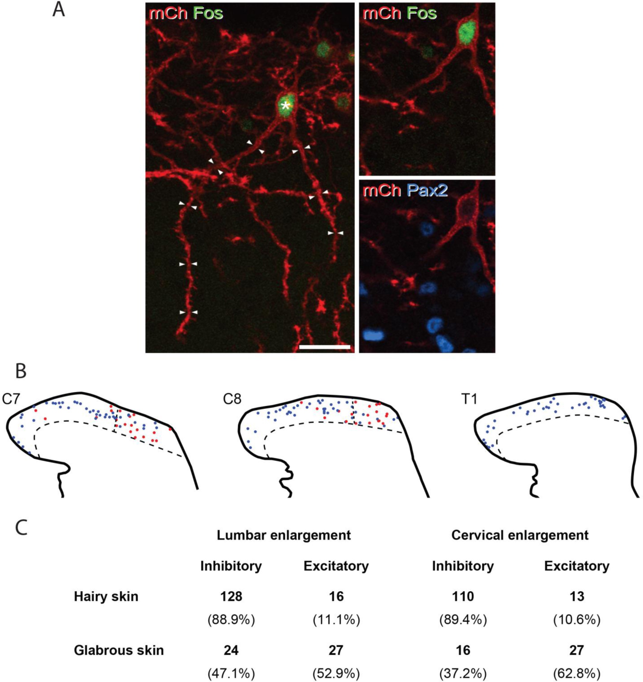 Supplementary Figure 5